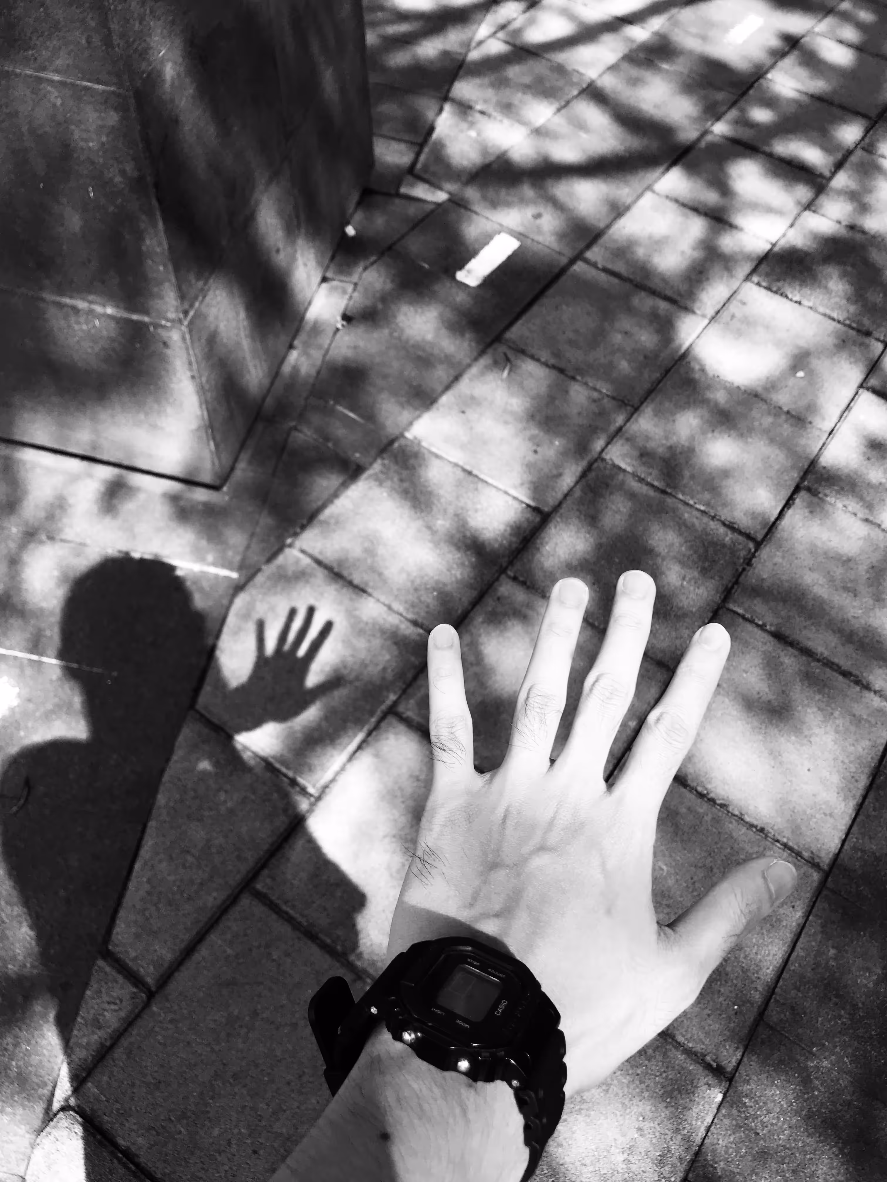 BNW: HIGHFIVE [Under the Shadow]