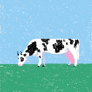 cow #126