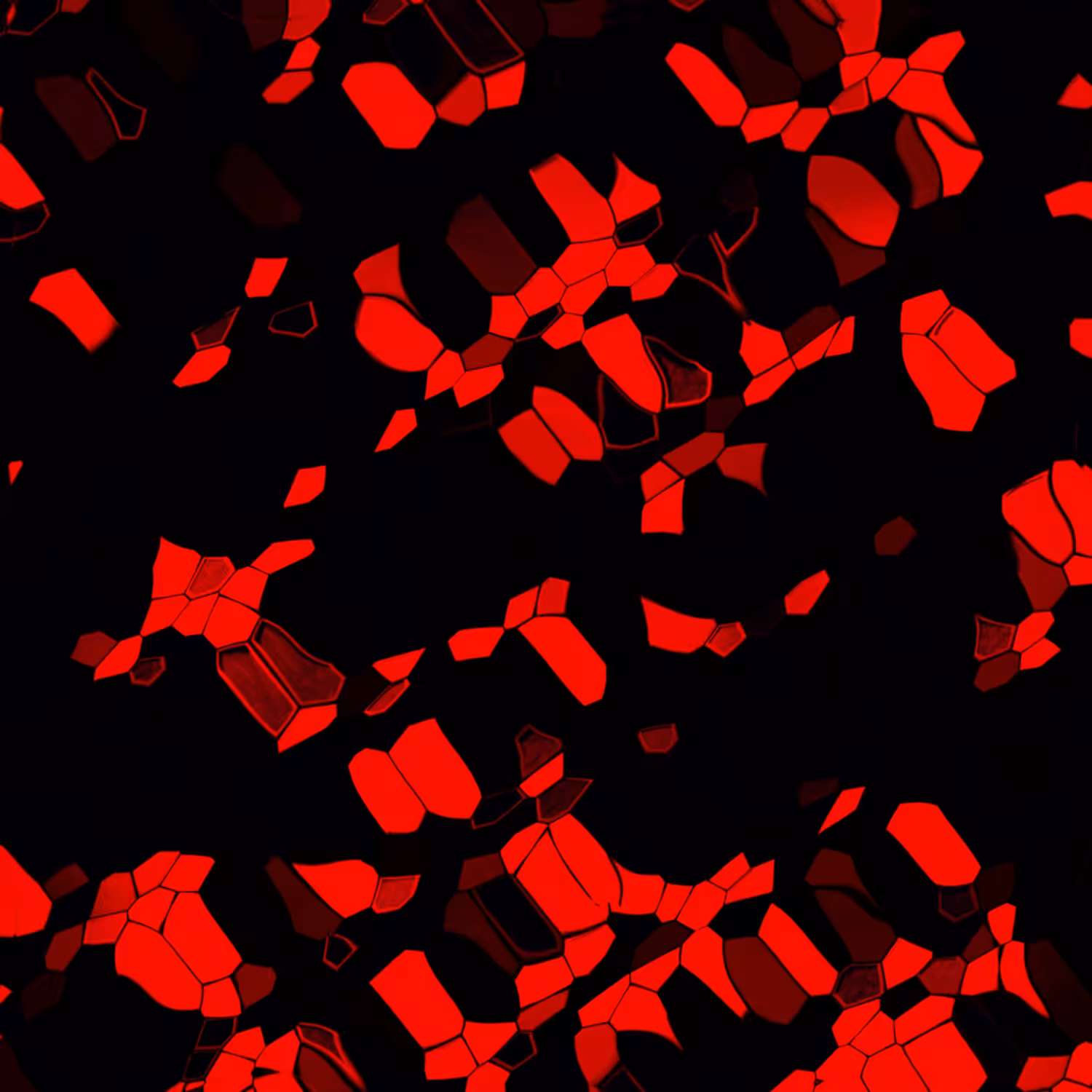 The world of colors #6