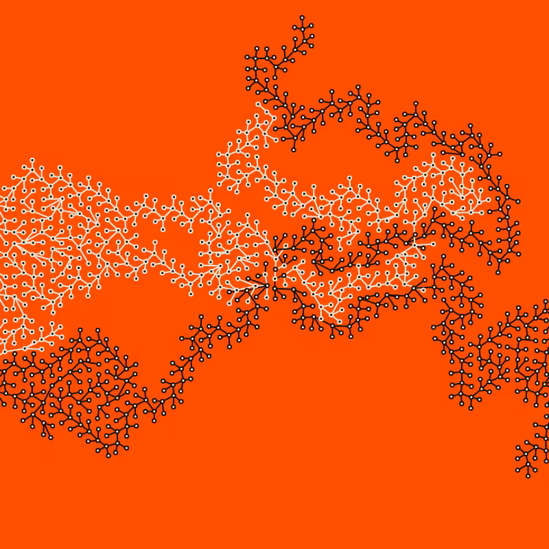Networks #84