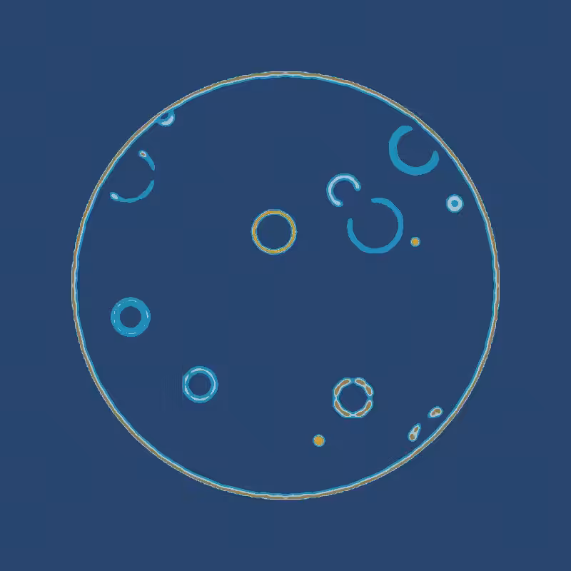 Cheap Petri Dish #71