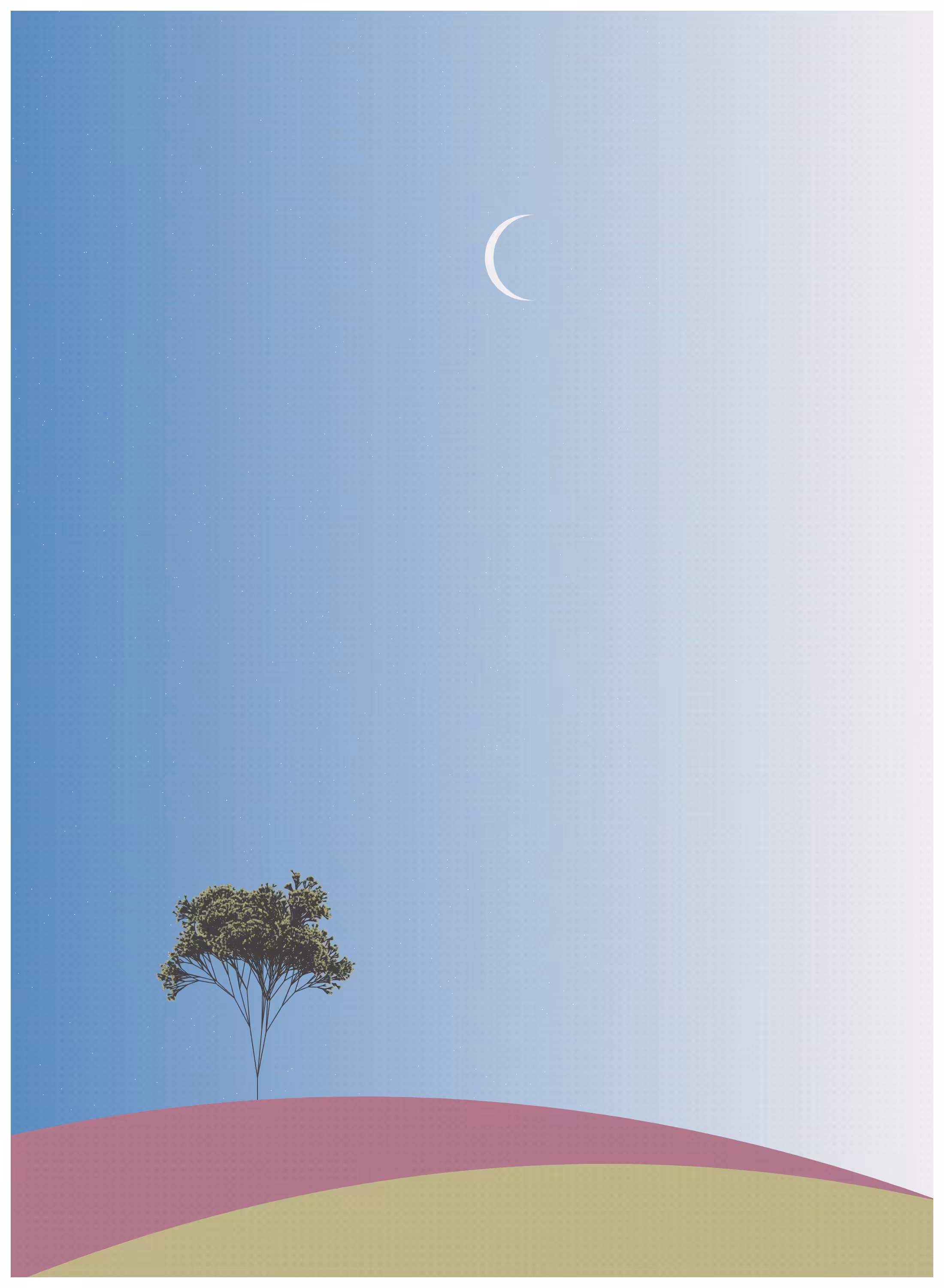 Ecos de Calma #37