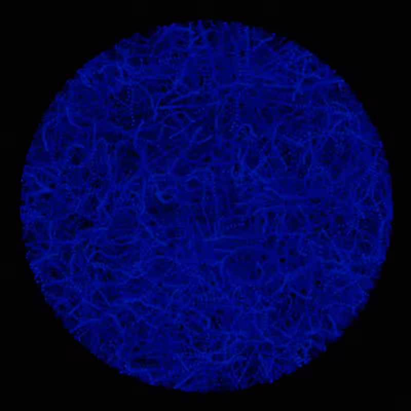 Petri Dish #27