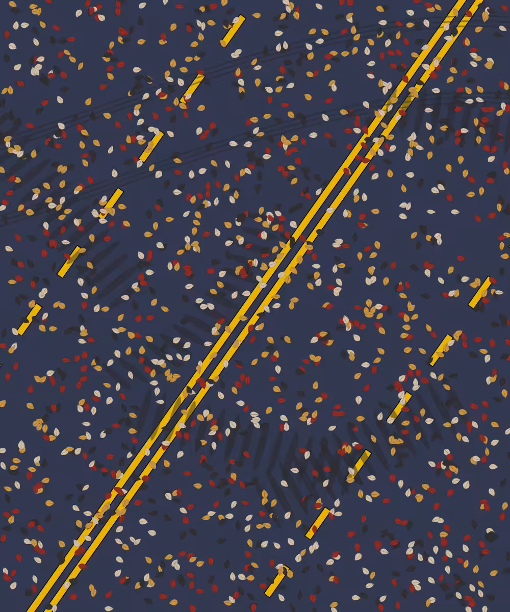 Road #5