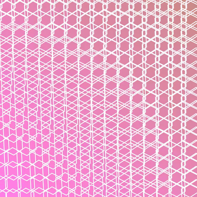 bilinearInterpolationTwist #24