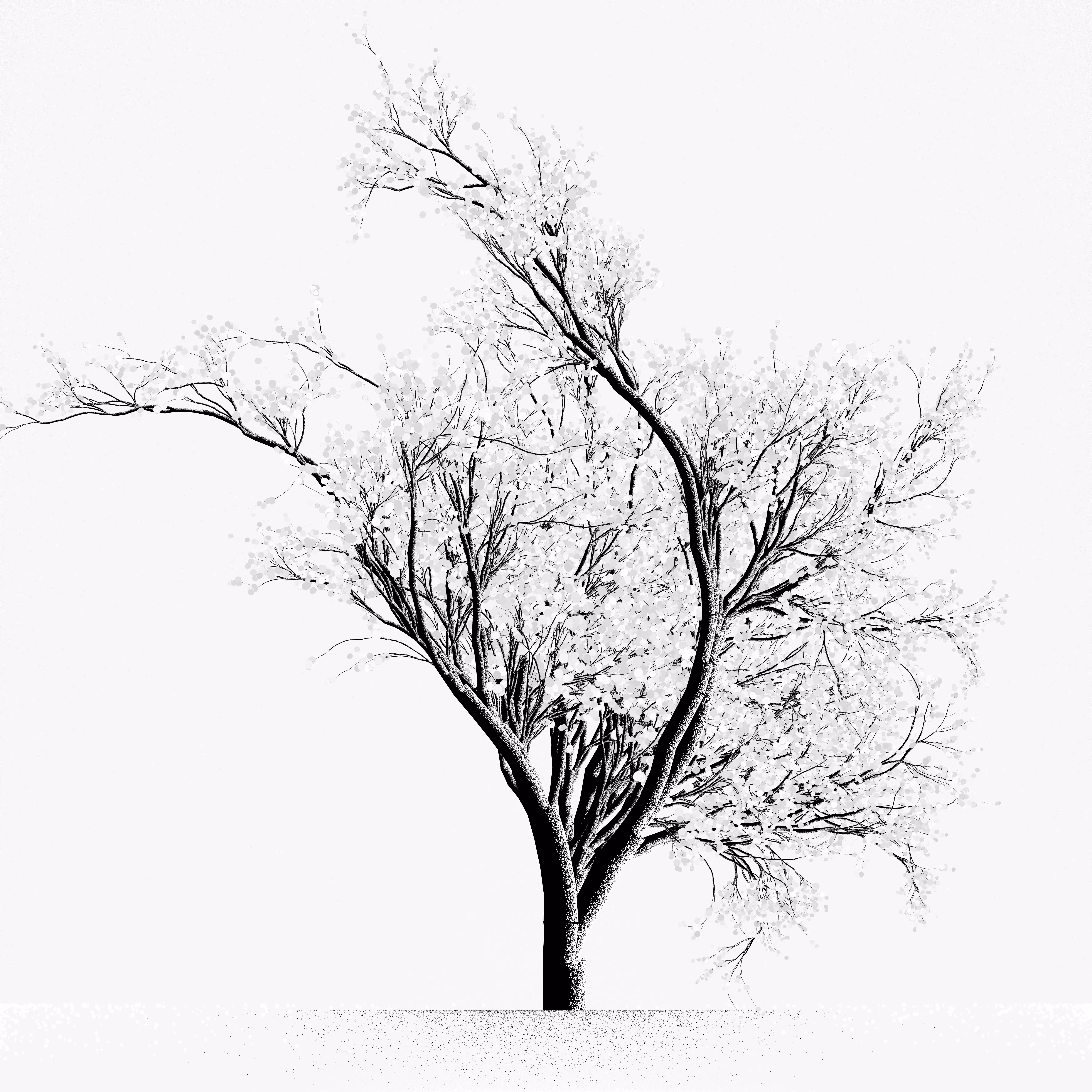 Snow Tree #17