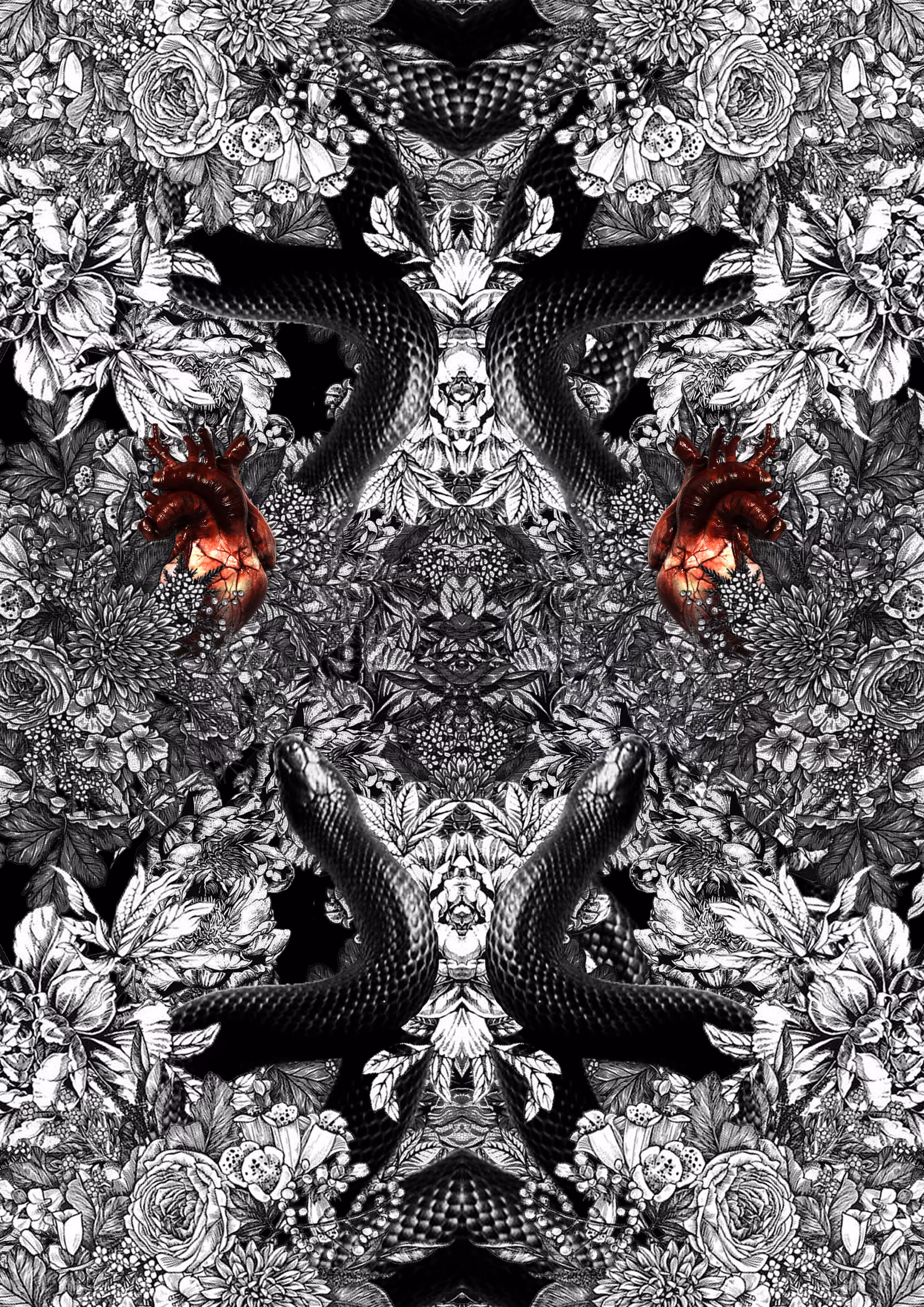 Feeling in the Shell  no.3