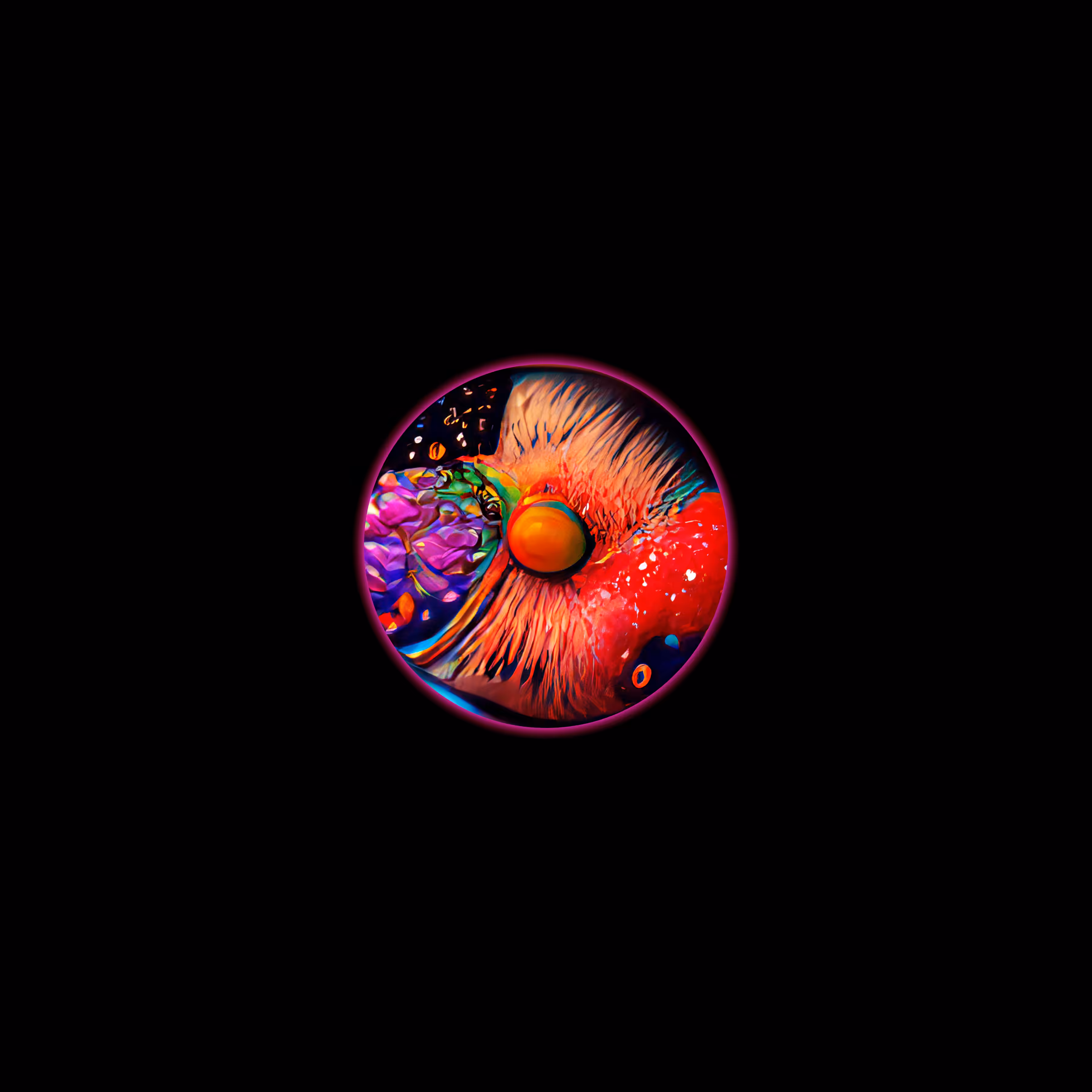 S002_0125