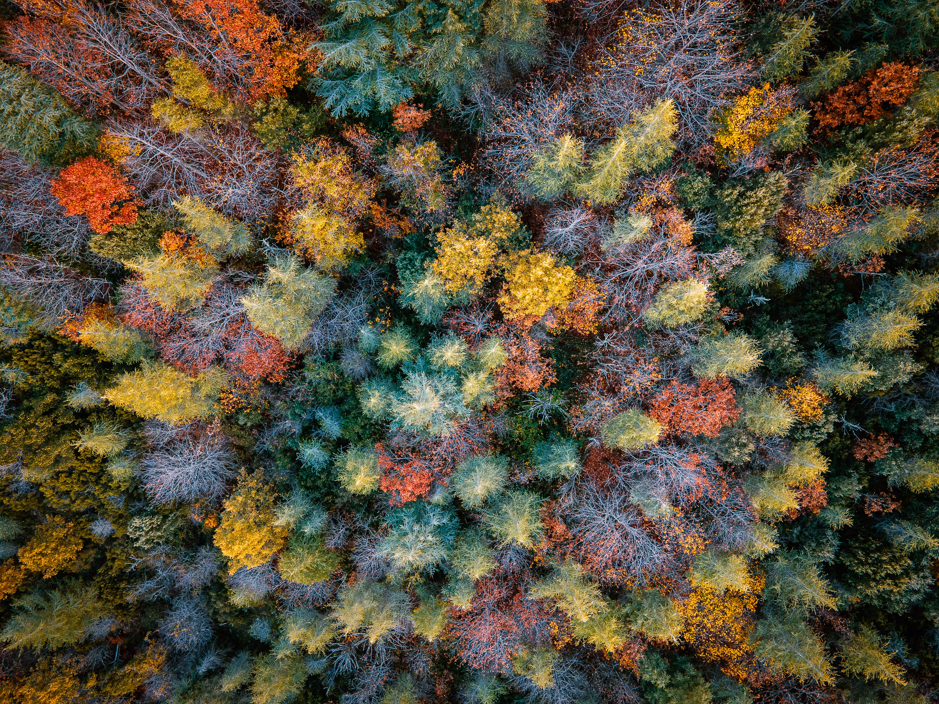Colors of Sardinia #8