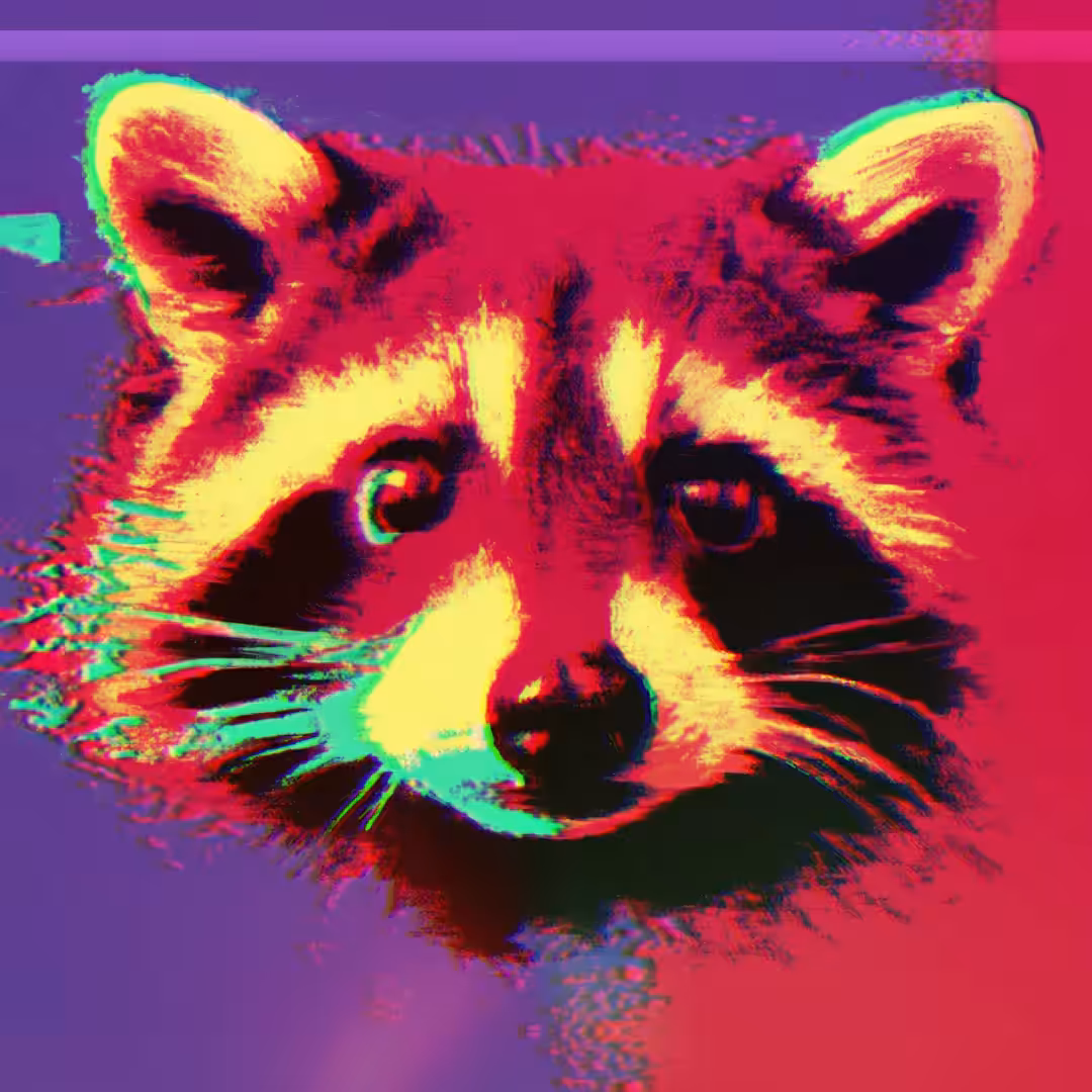 RACCOON - SA#029