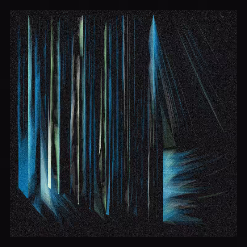 Velum #7