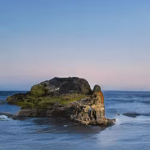 Founder Island #7