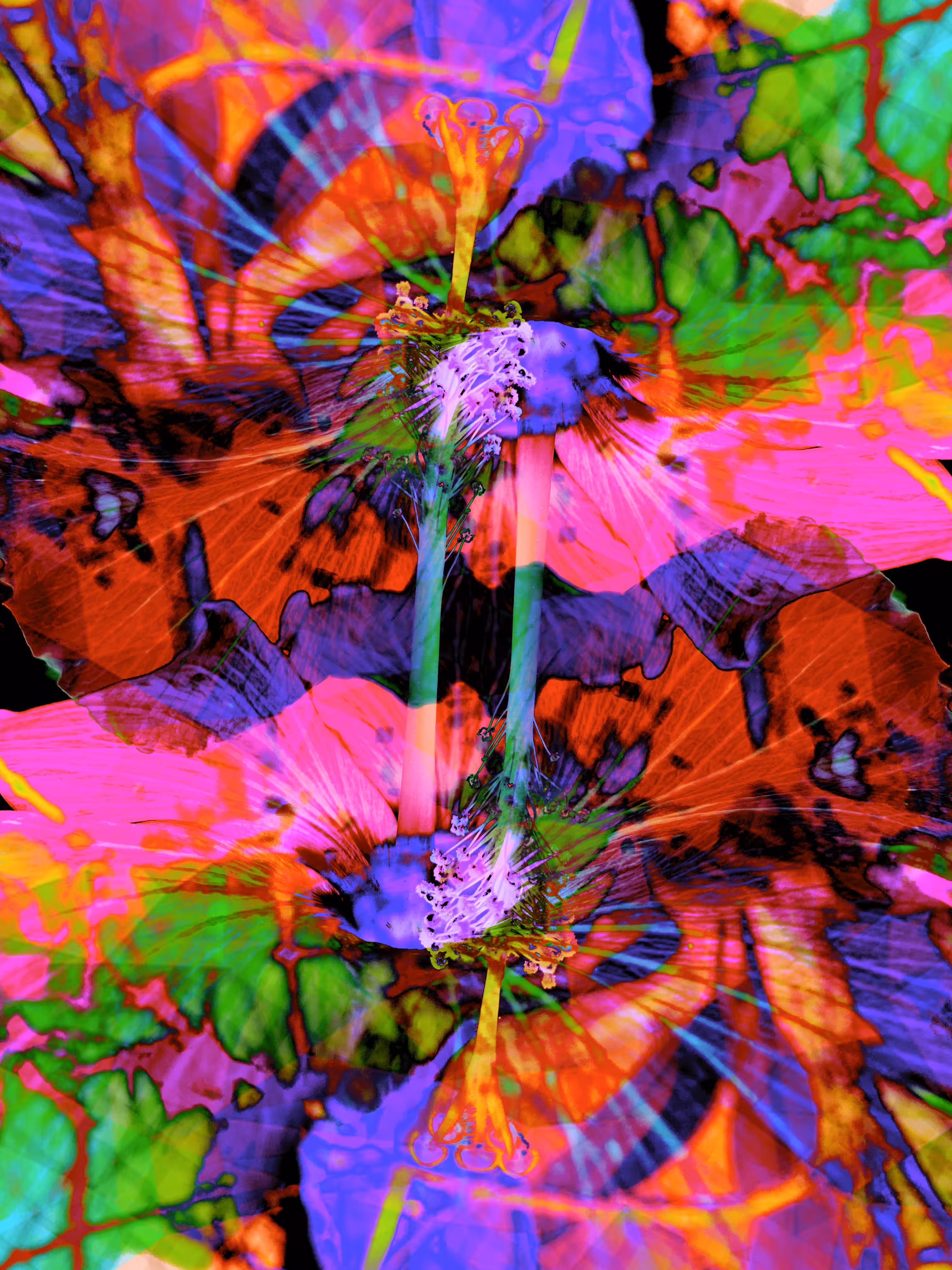 Flower #1