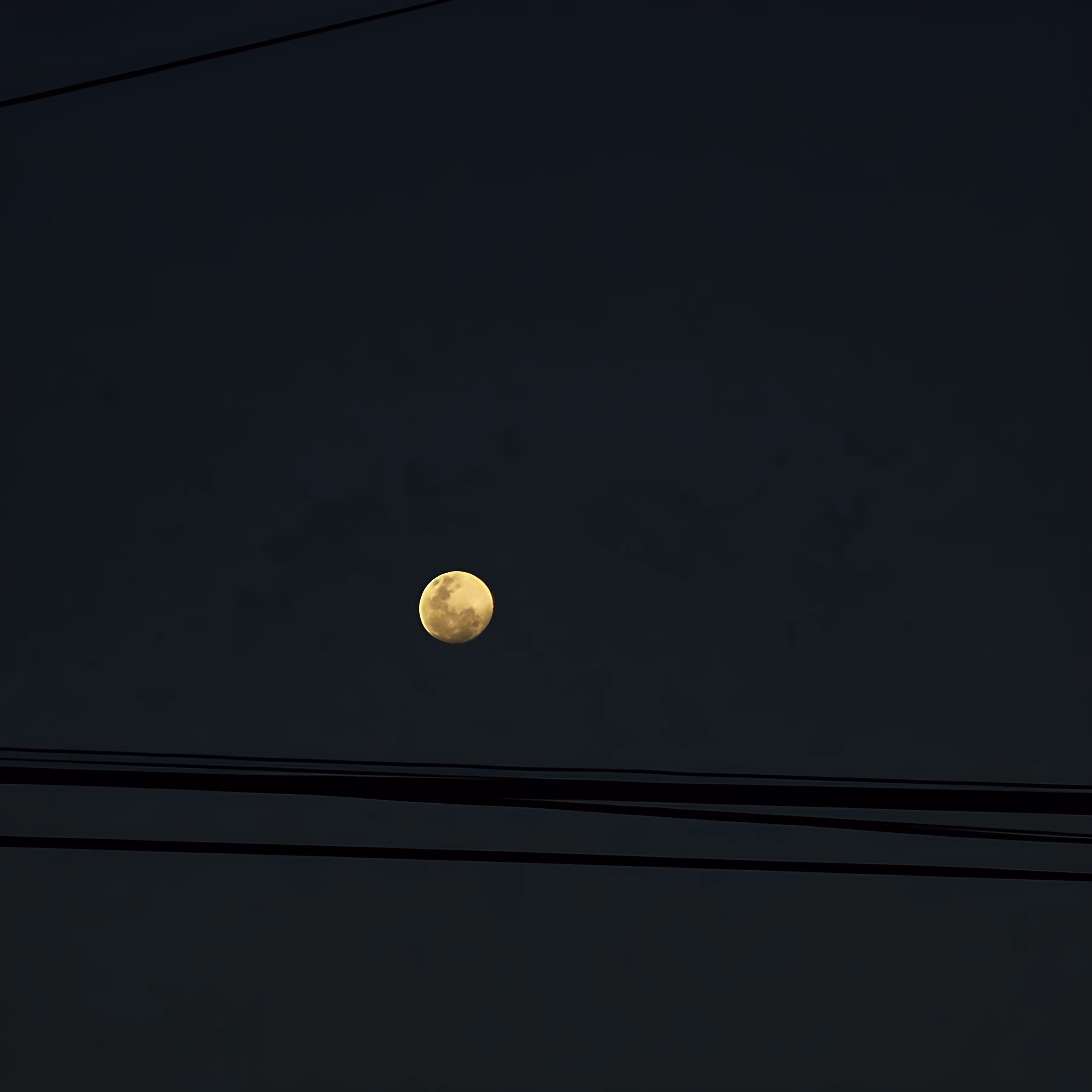 The shelter of the moon