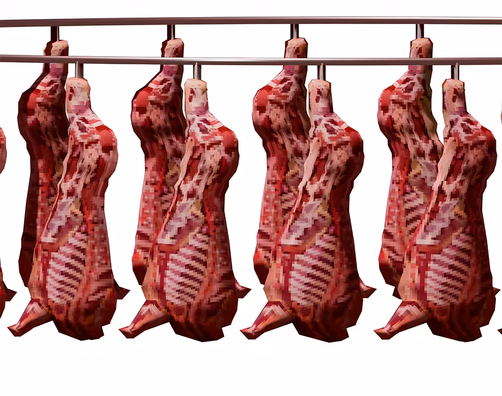 carne tremula