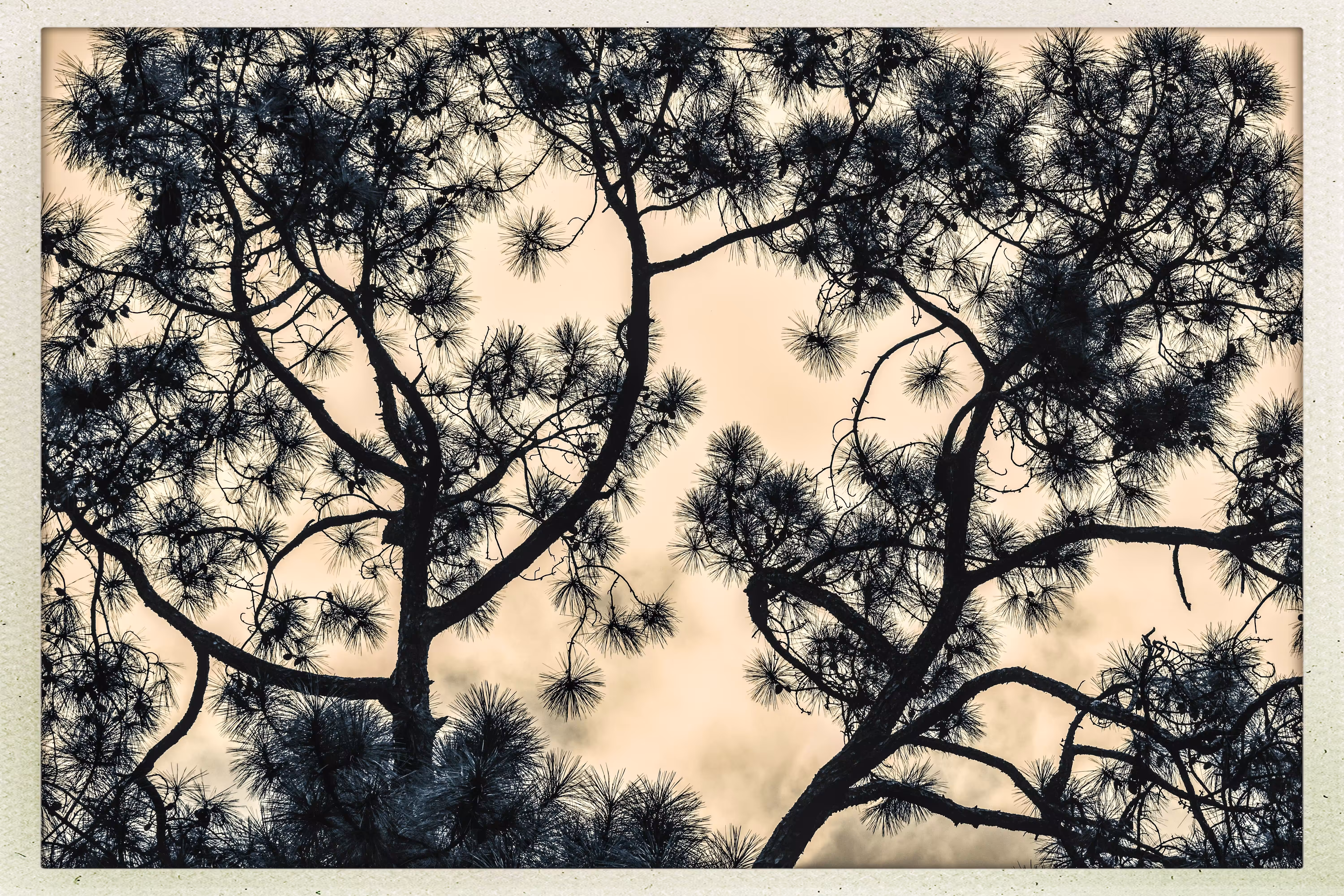 Deep #5