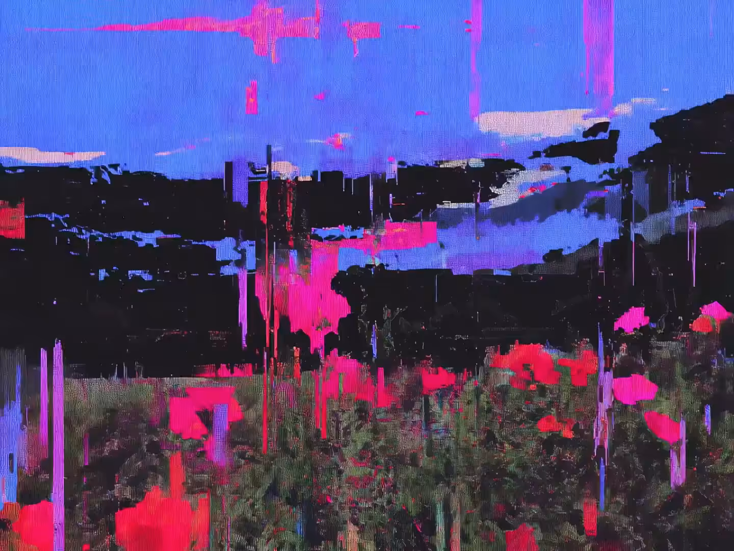 observing the meta-fields