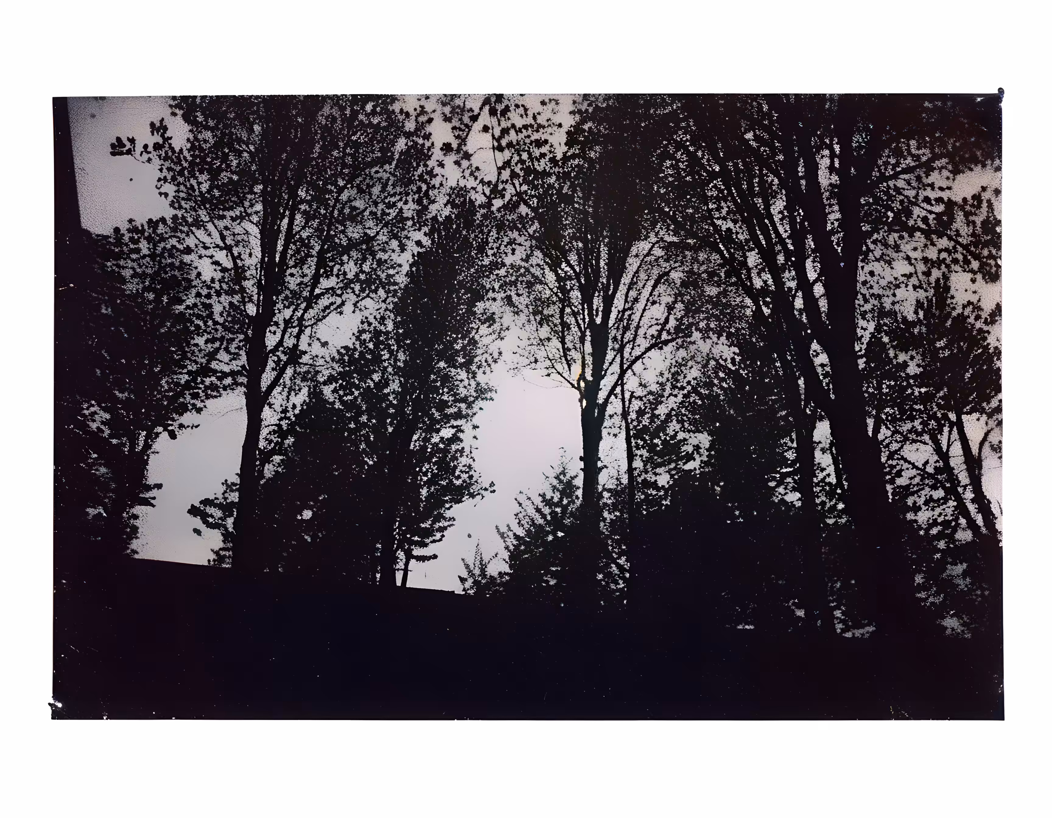 SYNTHETIC PHOTOGRAPHY RAW #33