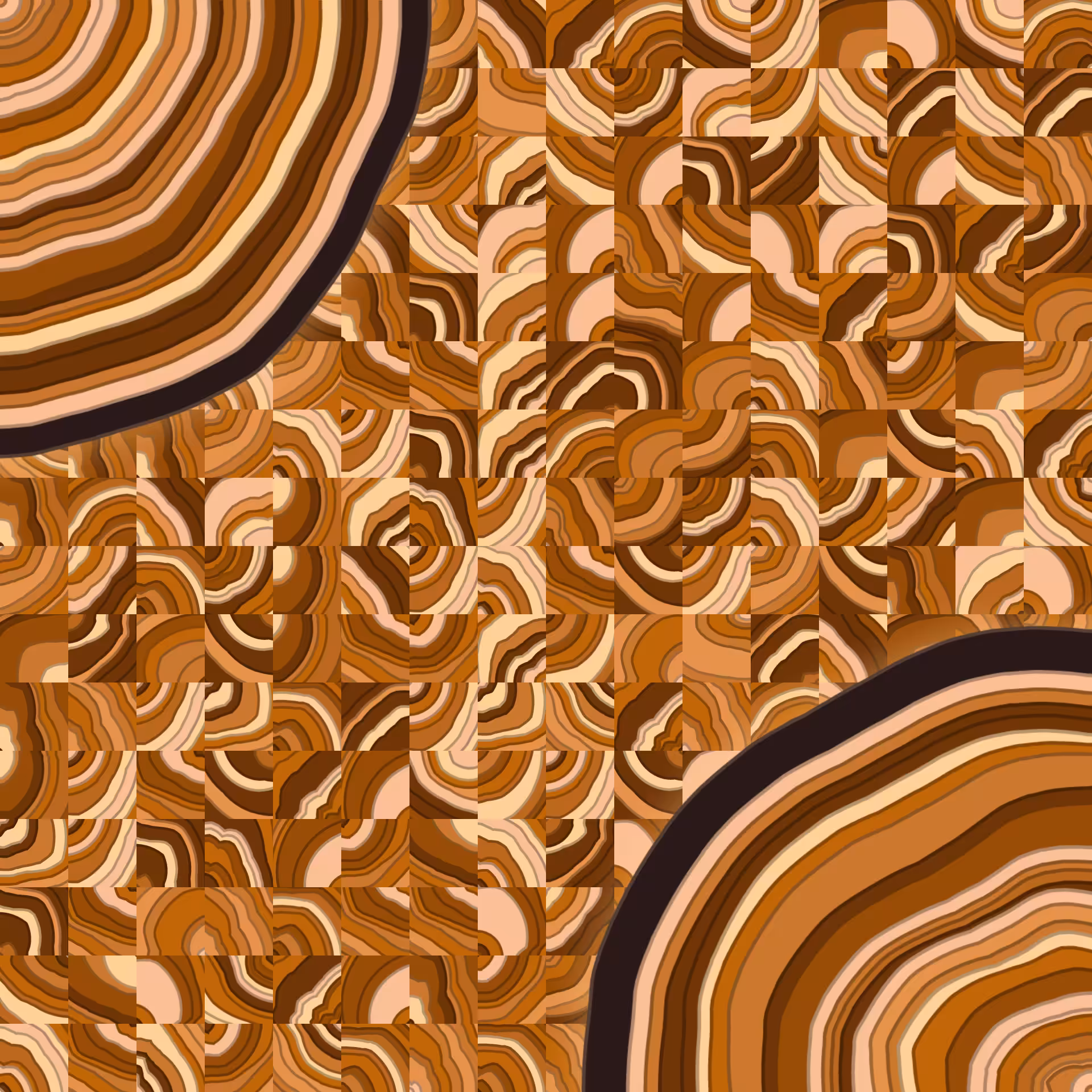 Growth Rings #28