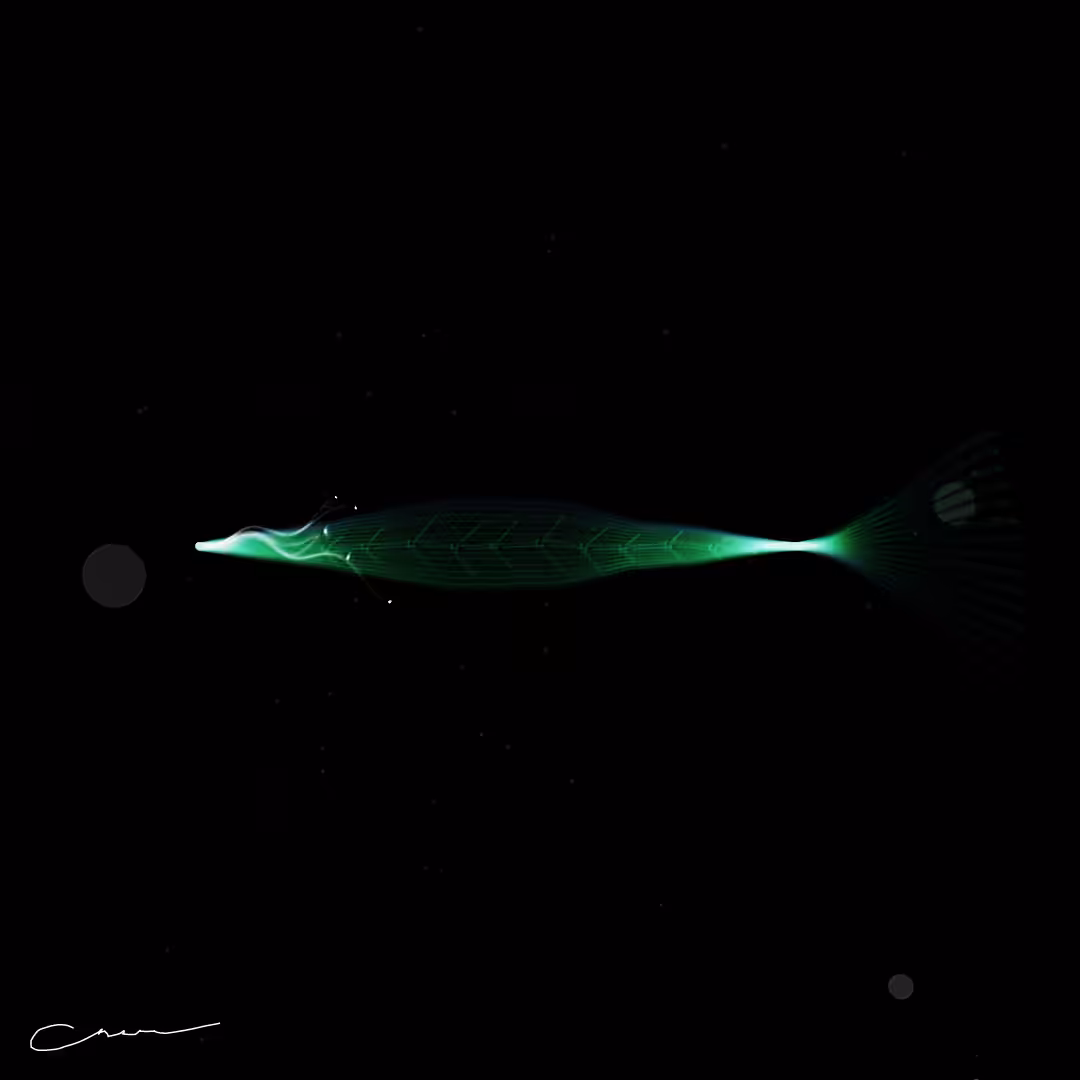 SoulFish #216