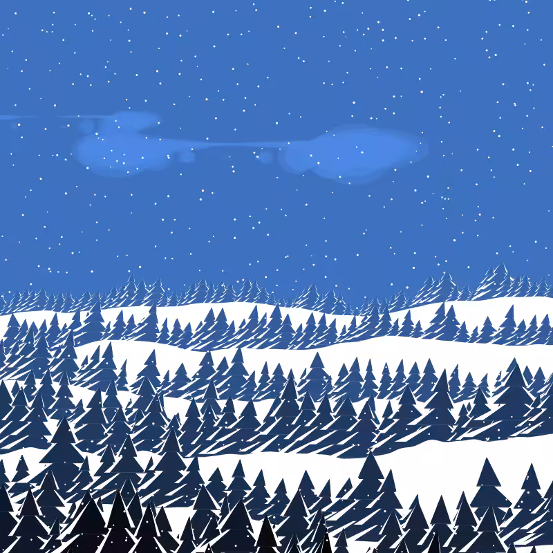 Winterland #177