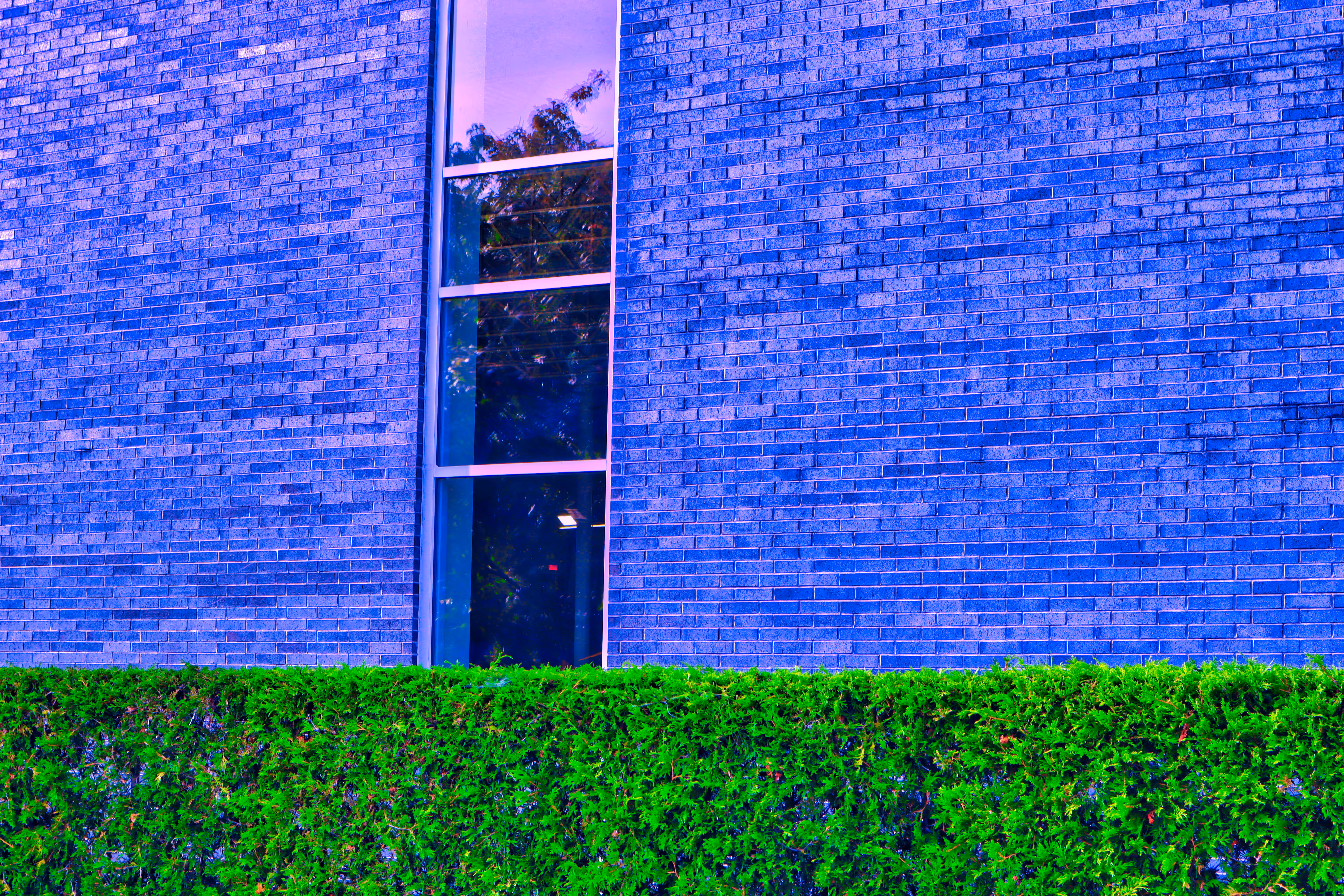 2022: Blue Wall