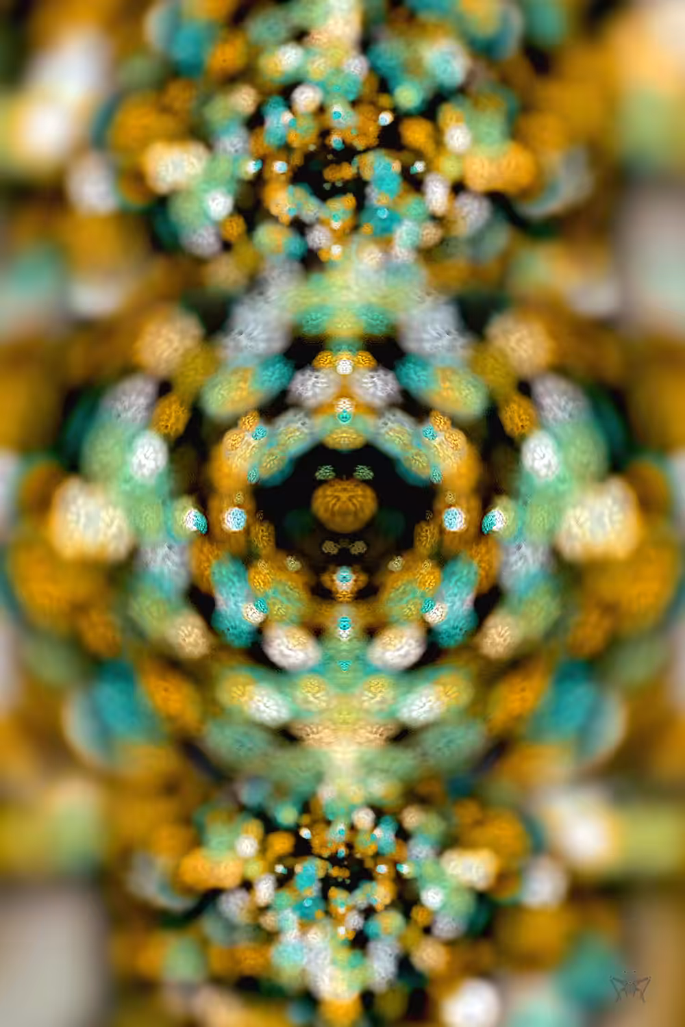 Time is color 05_Confused Debating Corals
