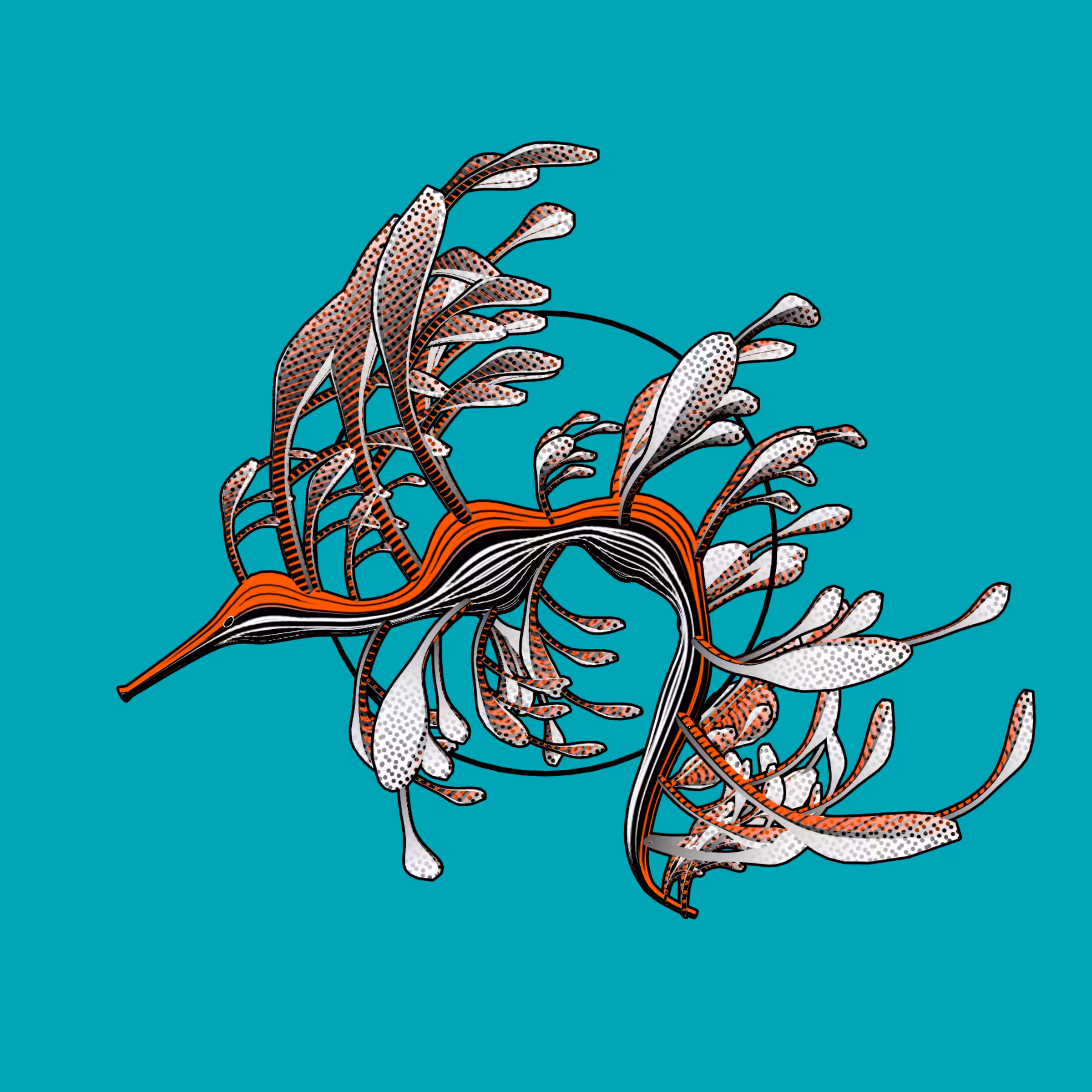 Seadragons #223