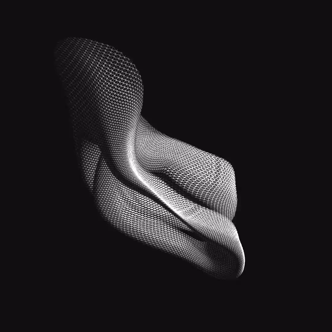 carbon toroid IV