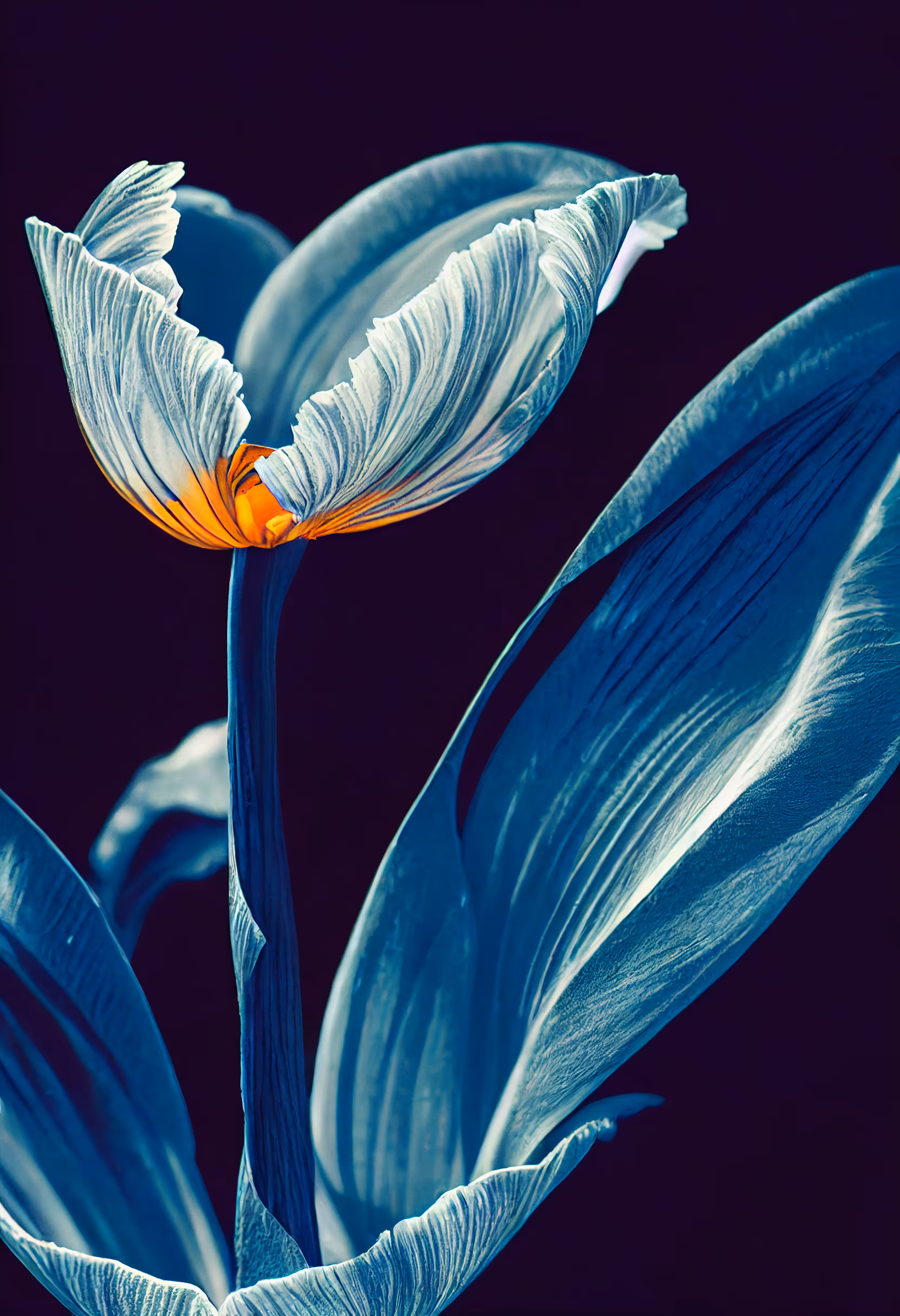 A Flower, Just For You. #11