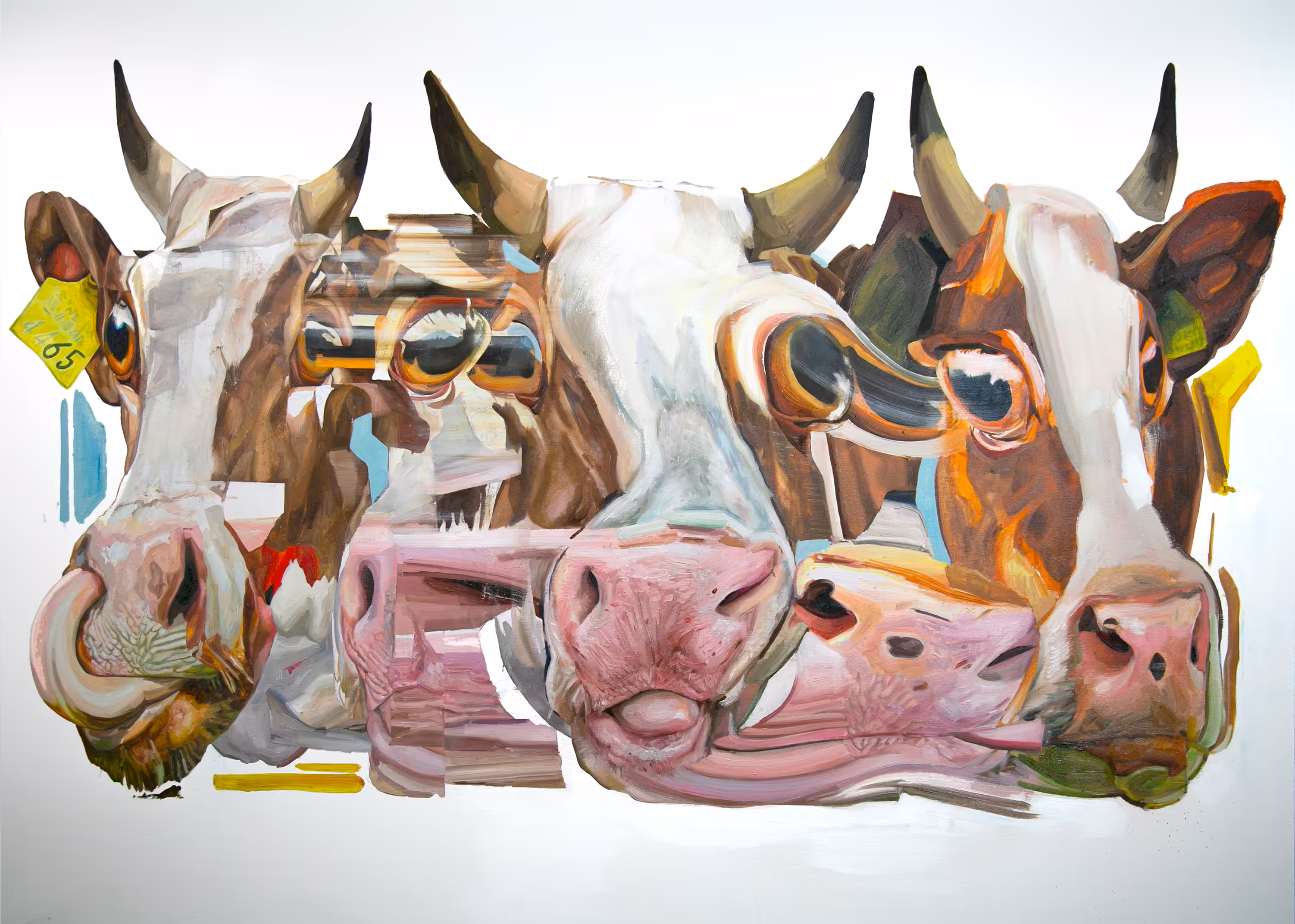 Cow