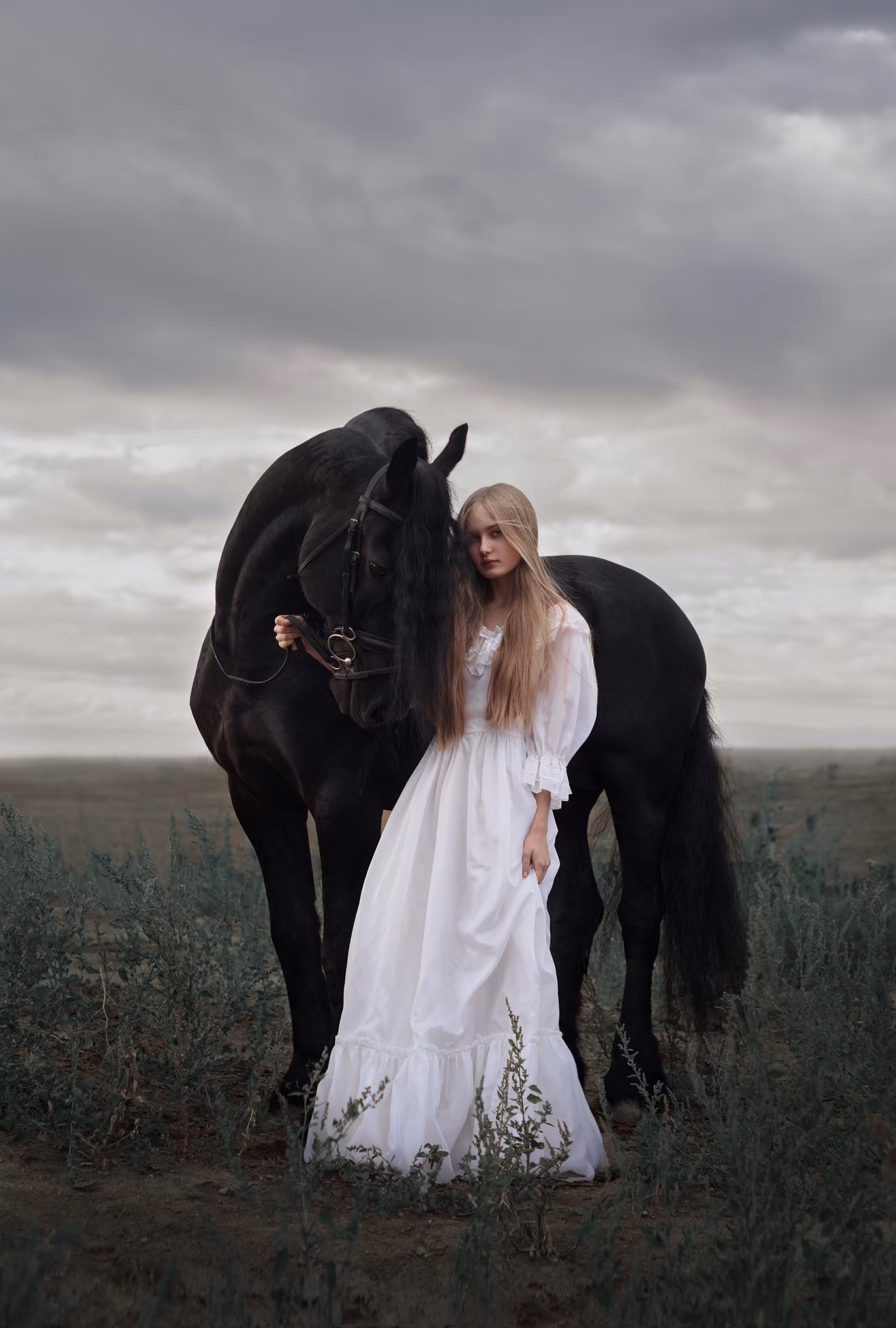 Horse