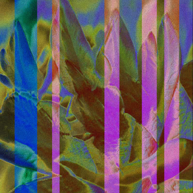 CLDCSMC #86