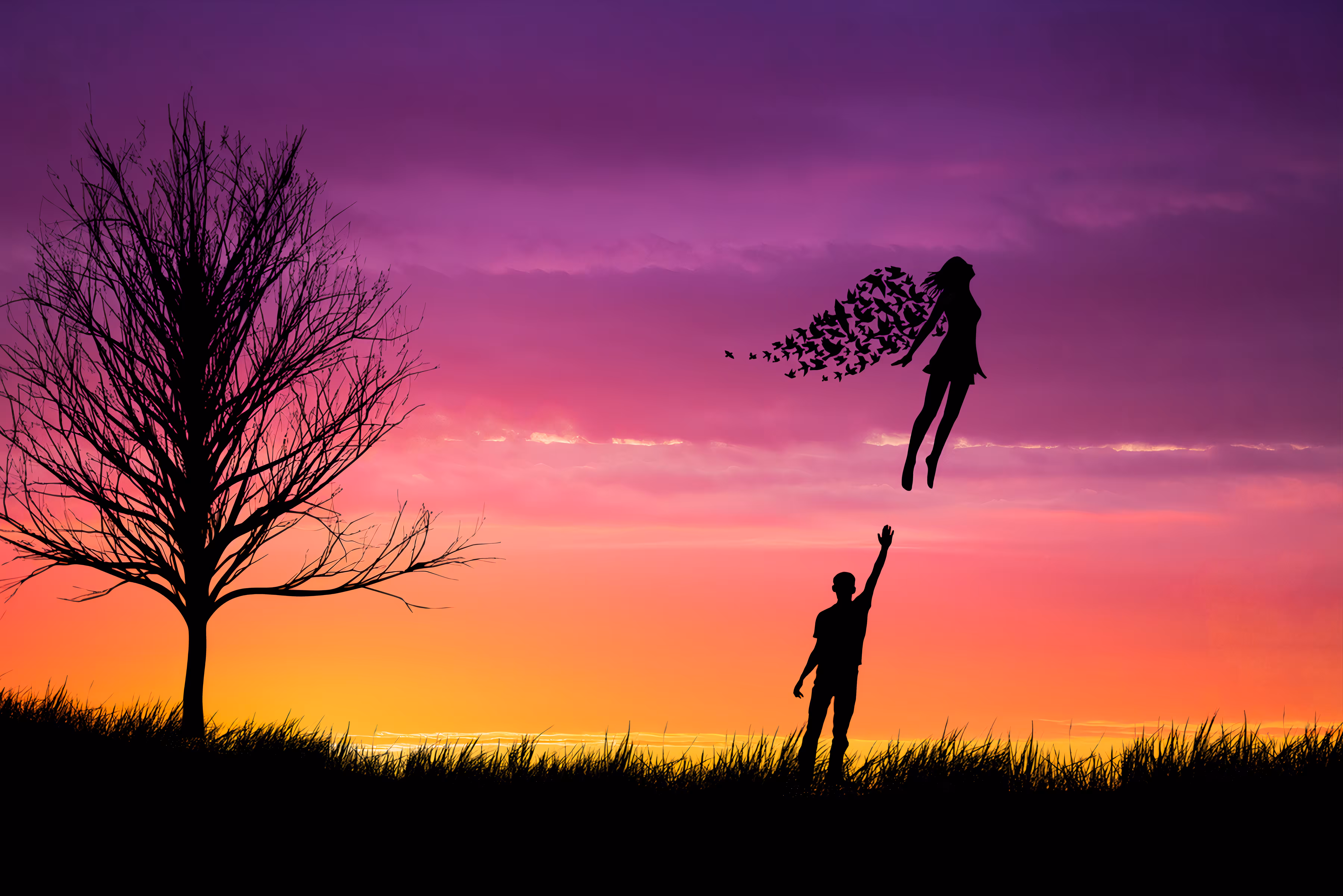 SILHOUETTE #5