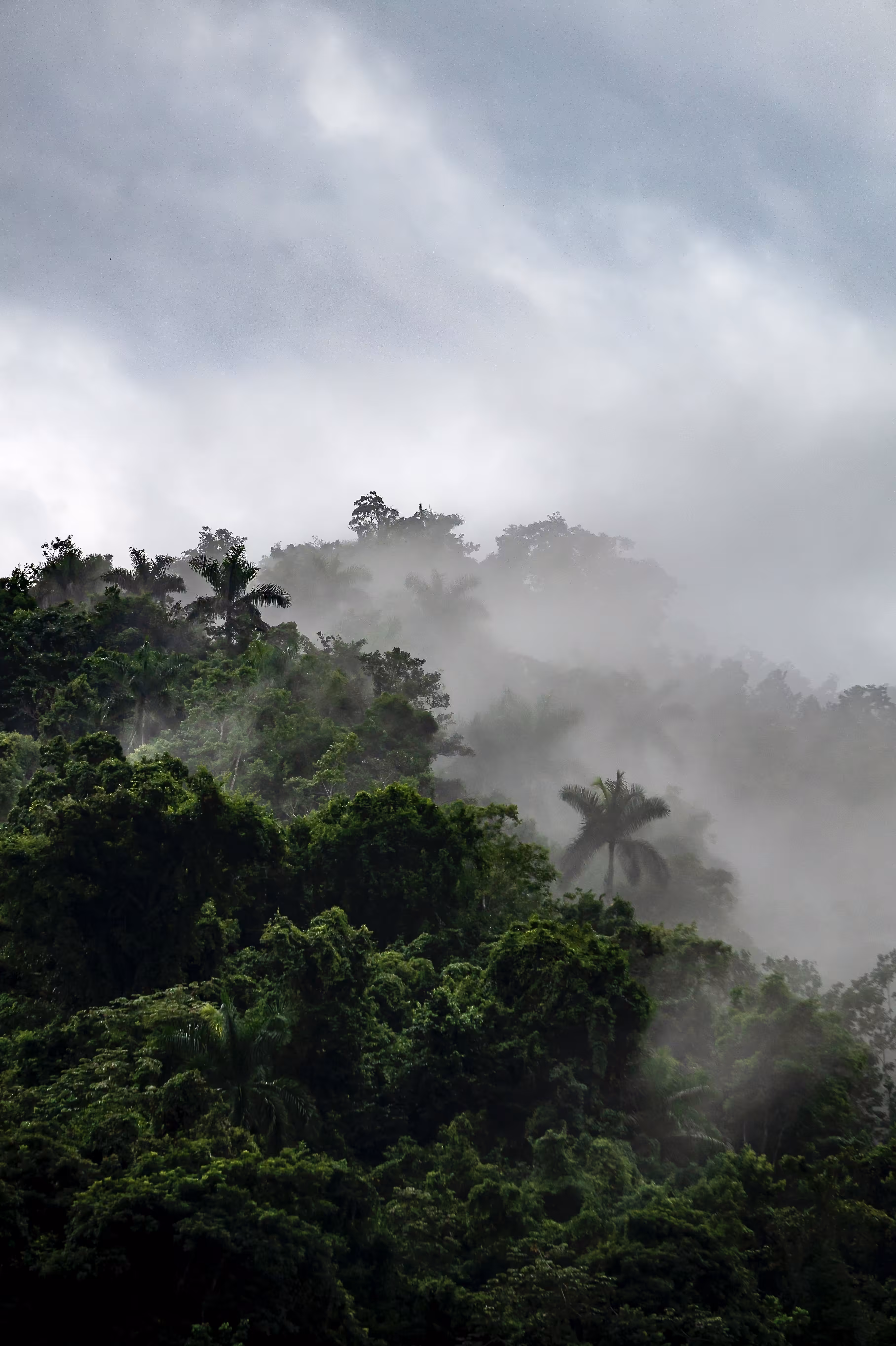 mountains in mist 2