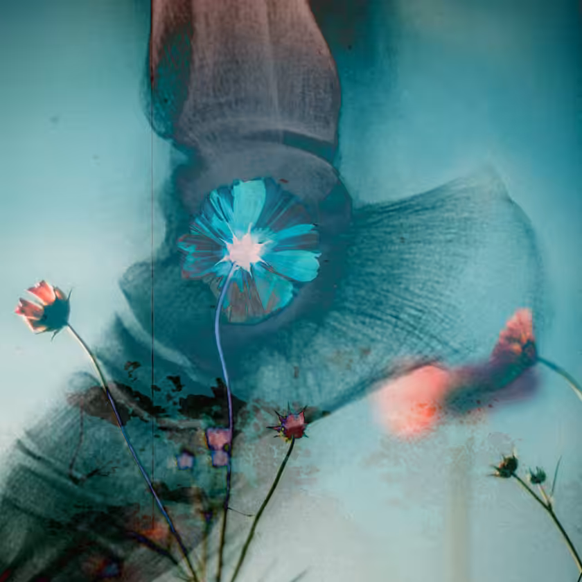 flowers and death #15