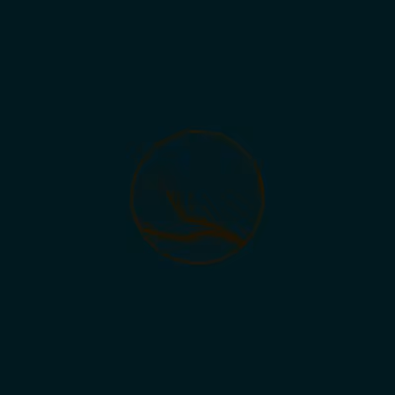 Life Rings VOL.2 #49