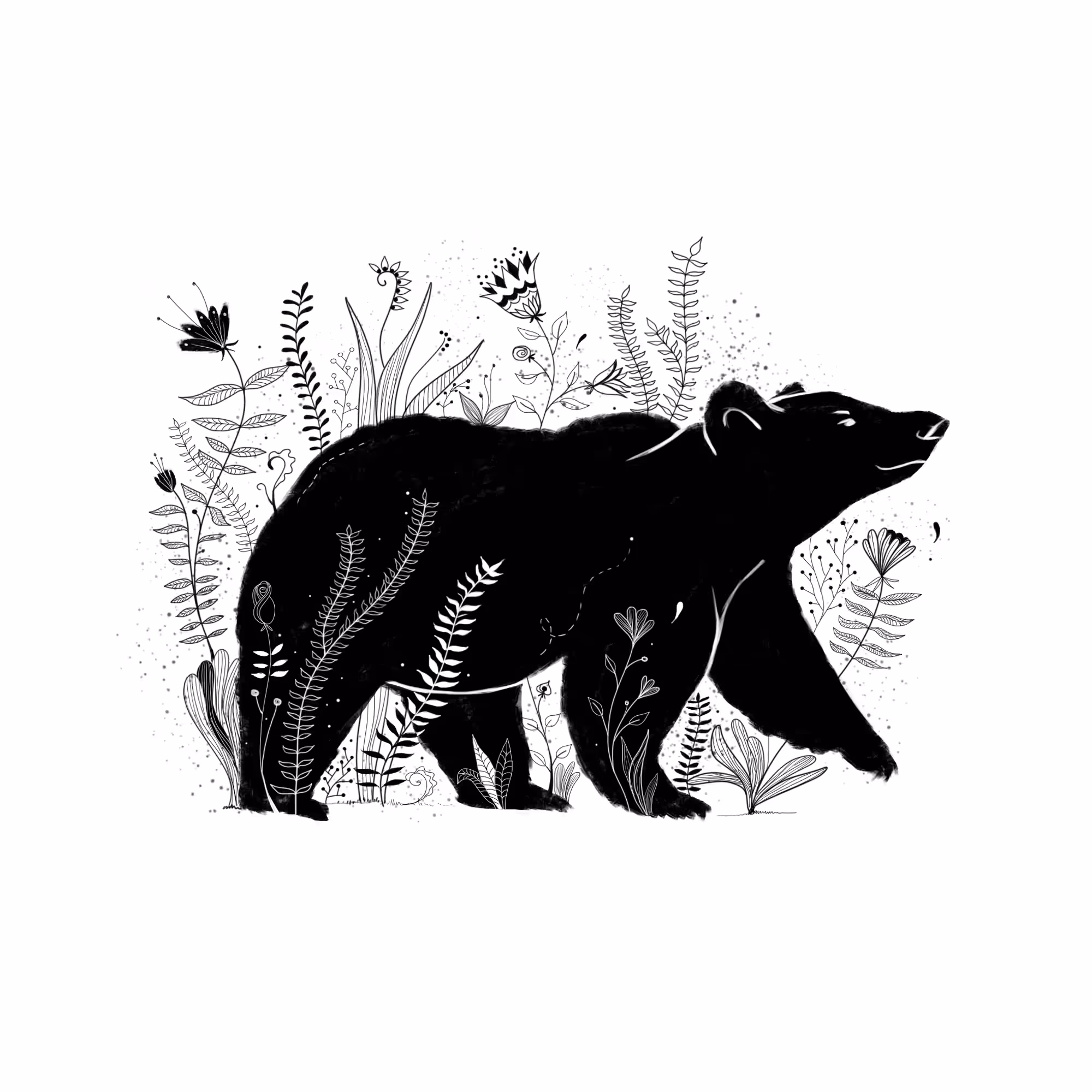 The Bear