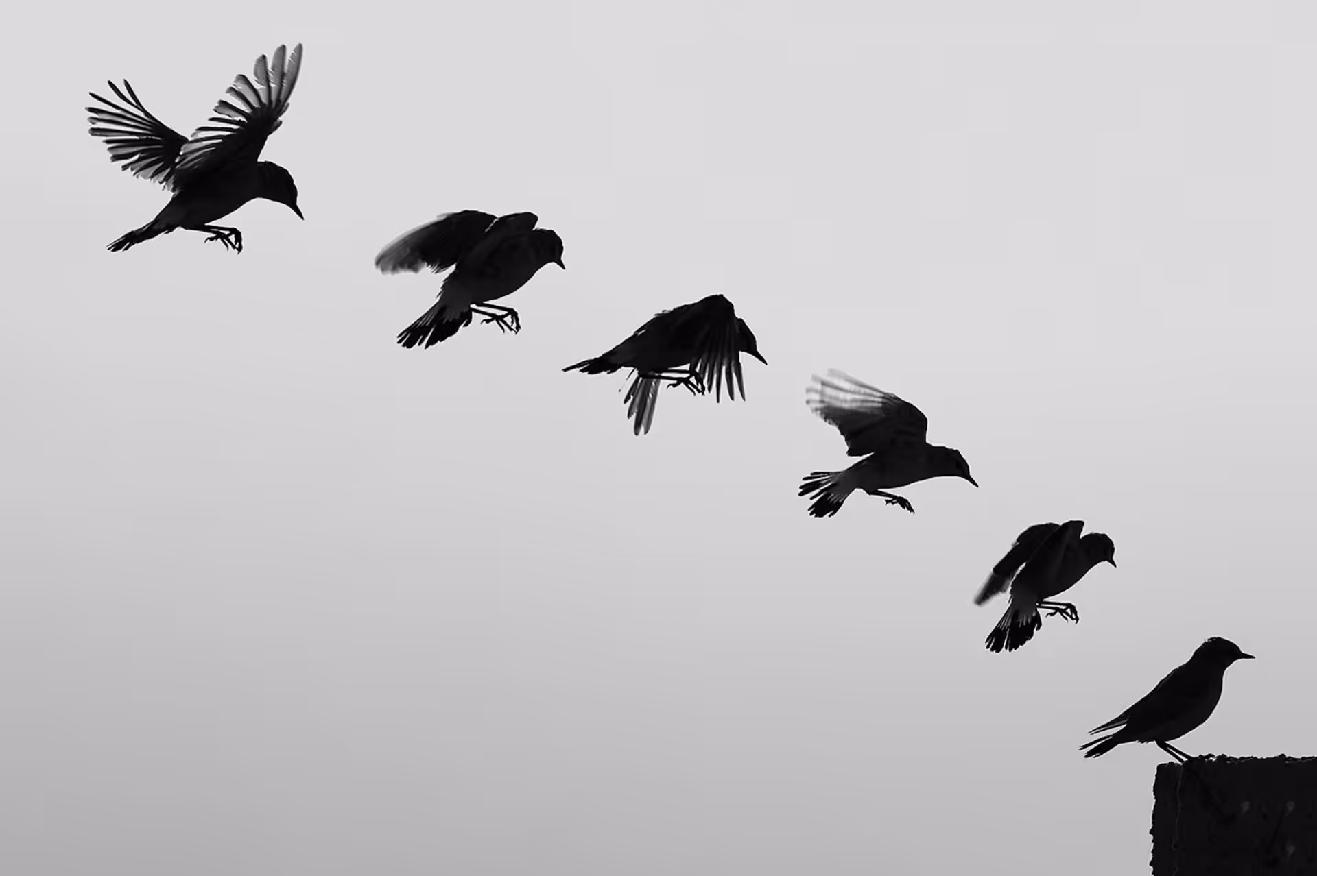 Toward Landing