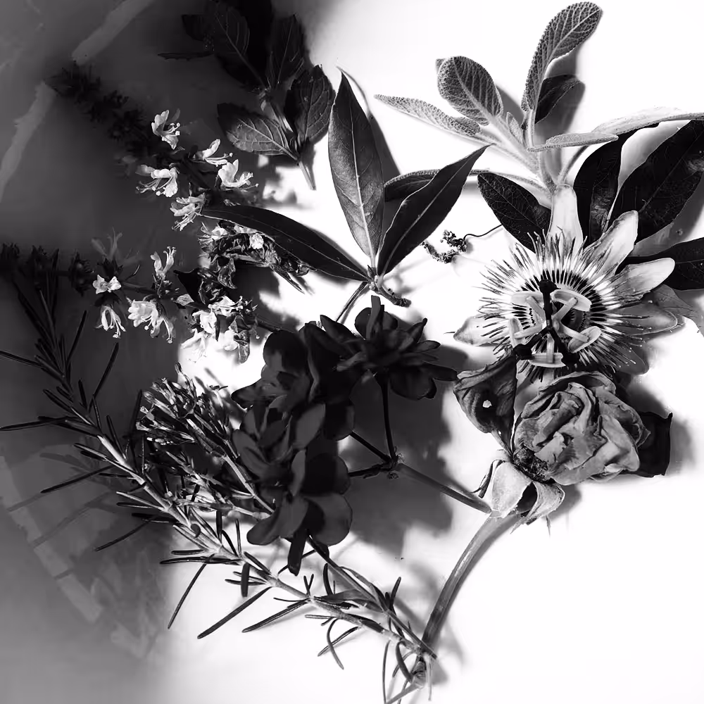 Obscure:: ritual