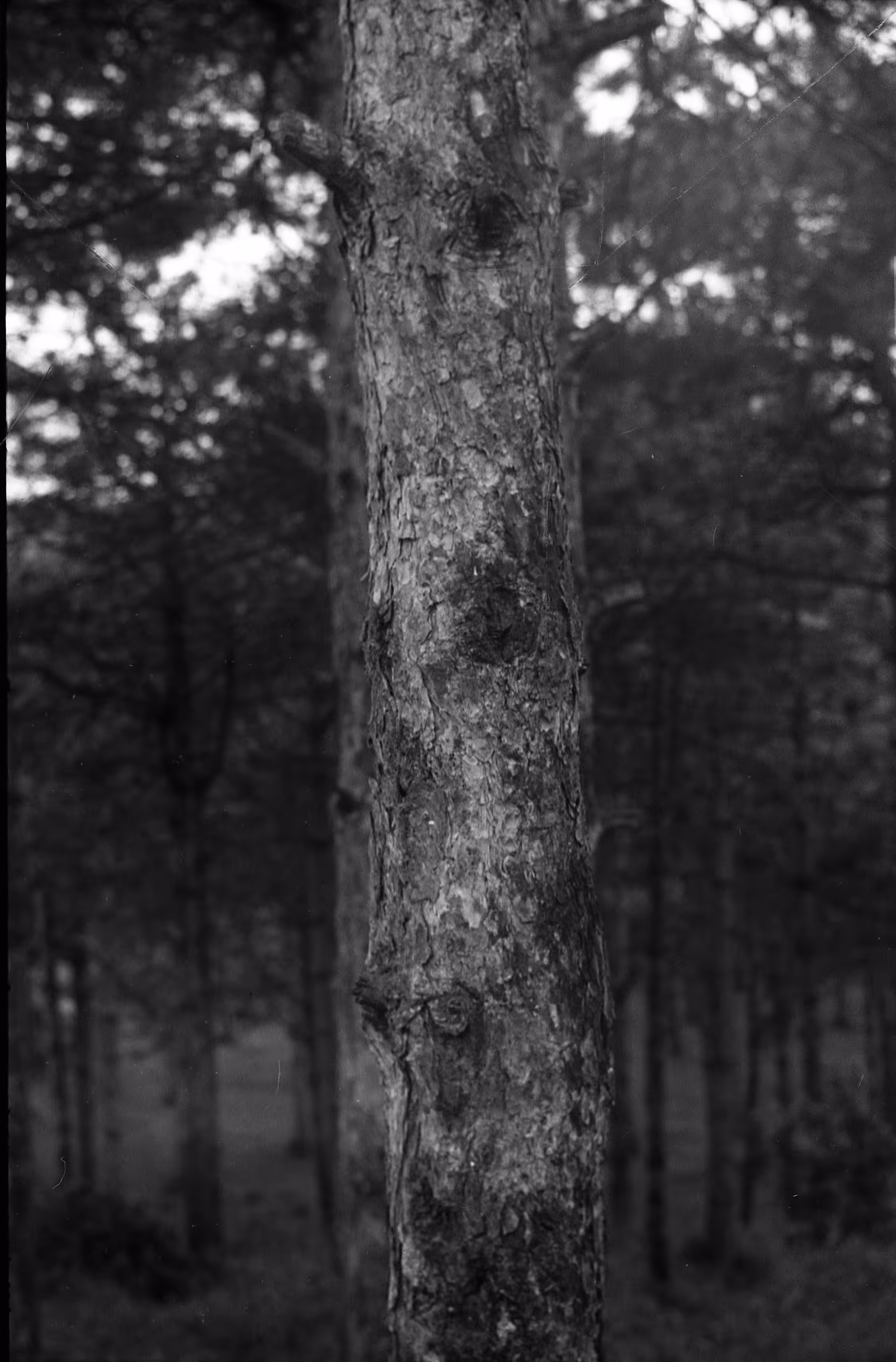 Same Place/Lêgerîn