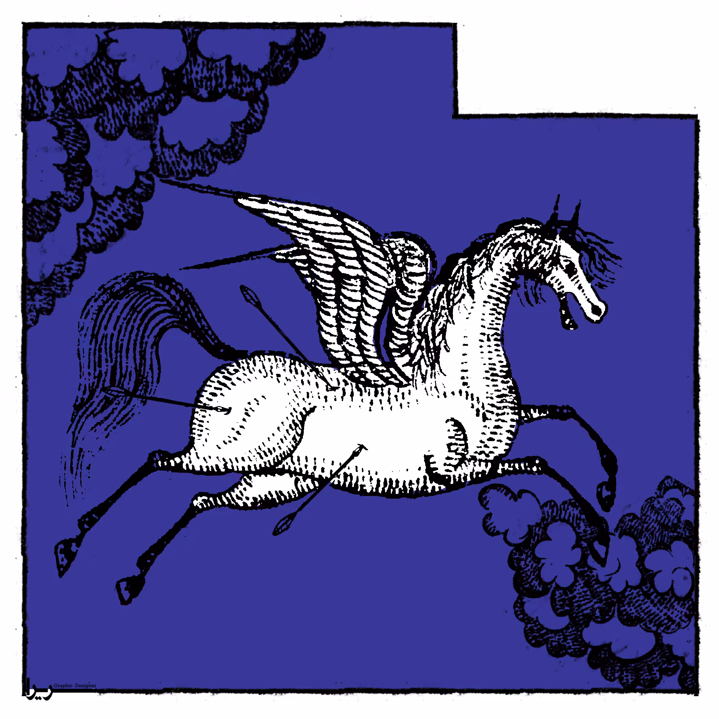 Unicorn hunting