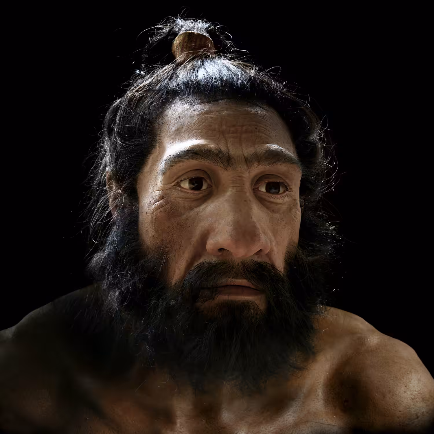Homo neanderthalensis: Hominin #12