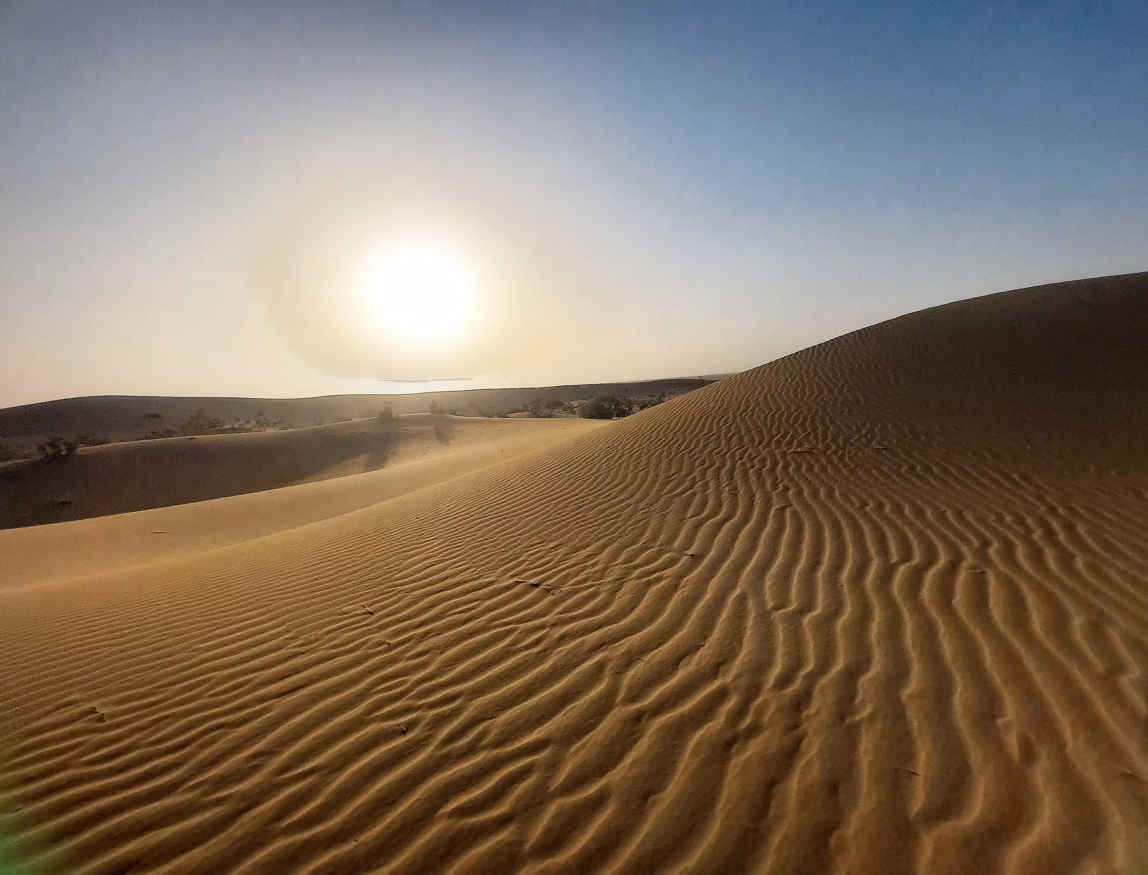 Humble Sand Dunes