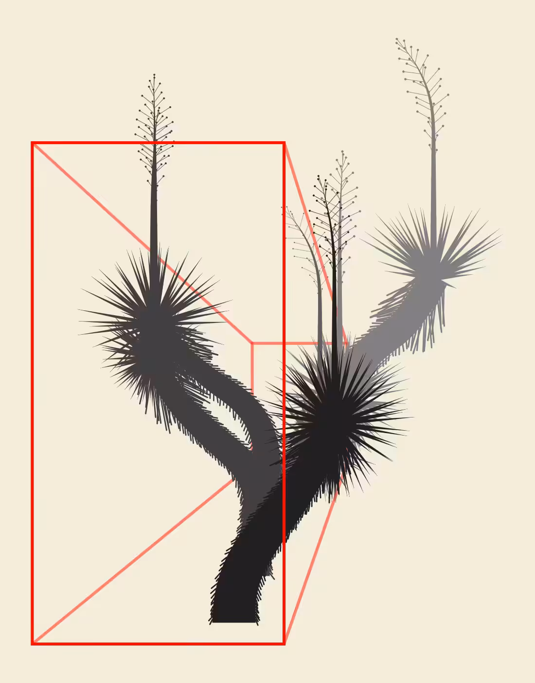 Early Marfa Yucca