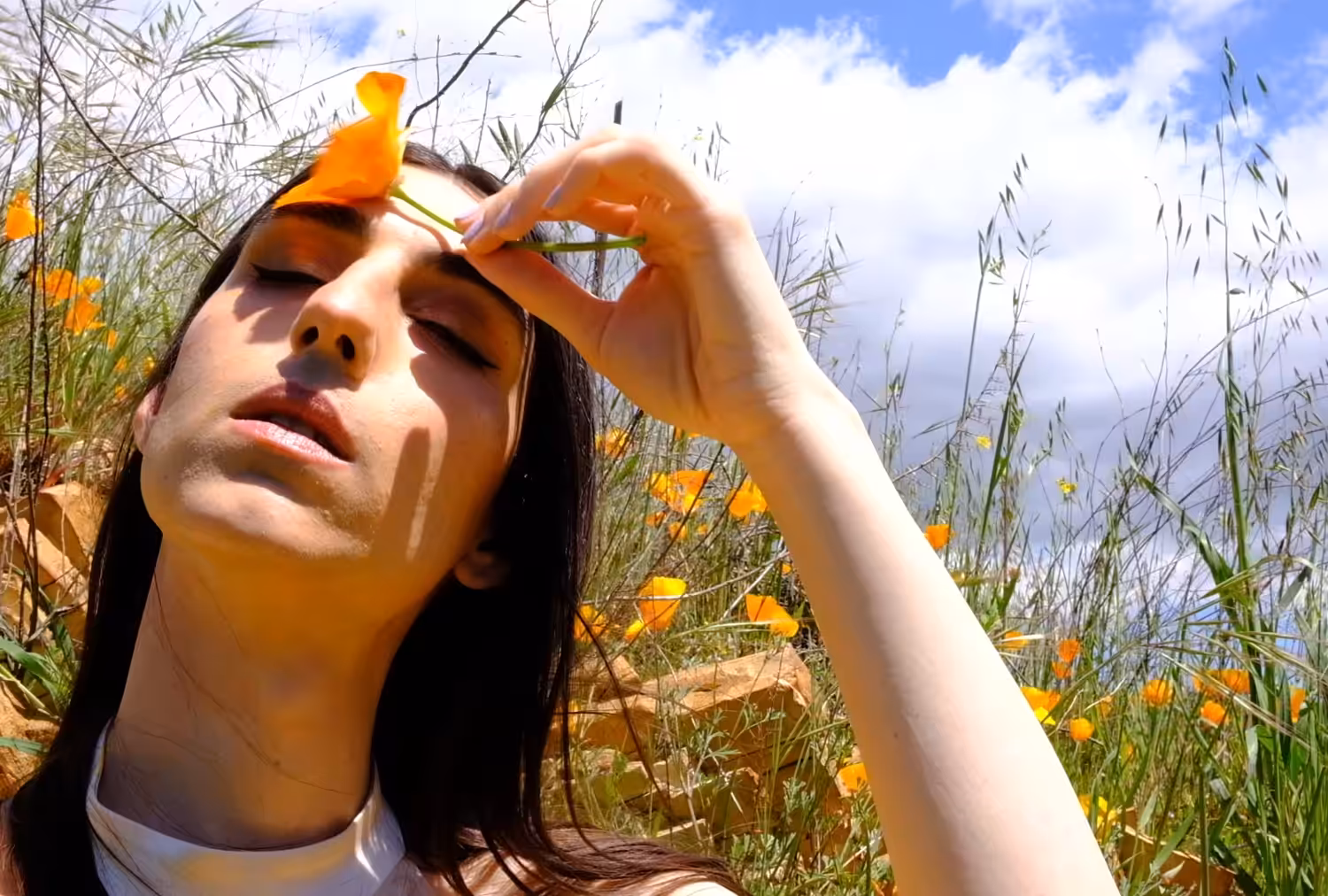 Allure of the Poppy #2
