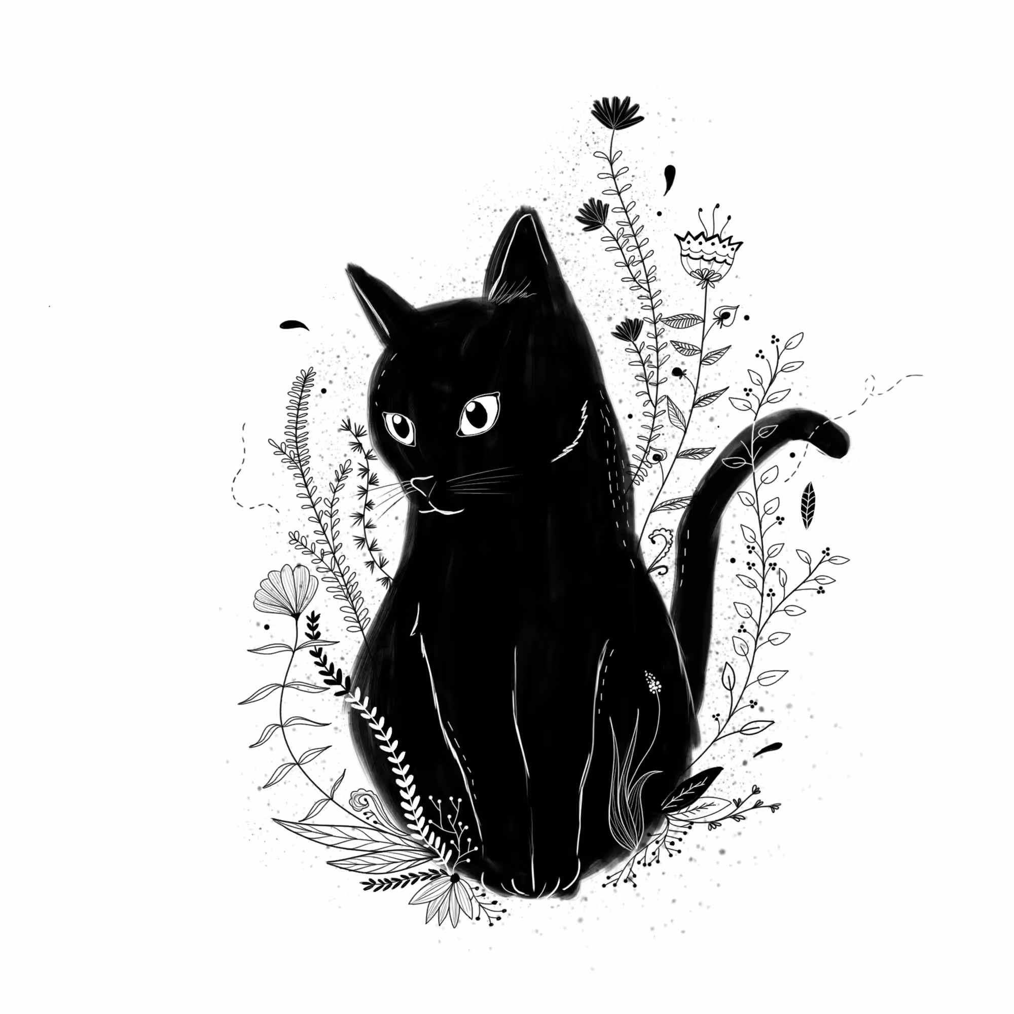 The Cat