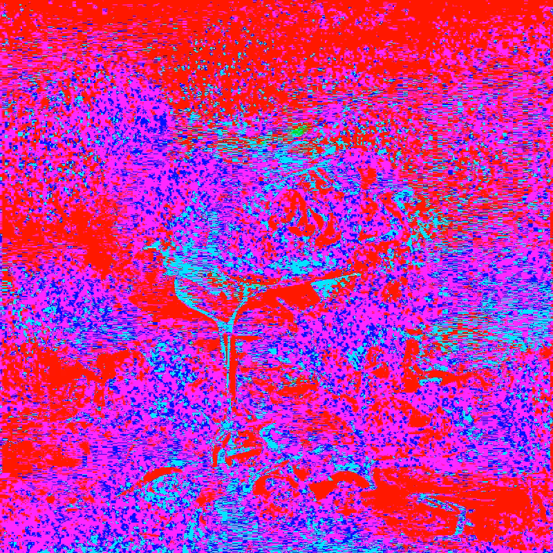 QUANTUM*FLOWERS #3