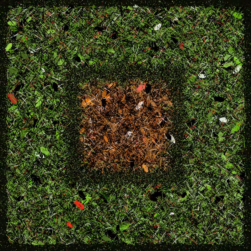 Into the Forestland #43
