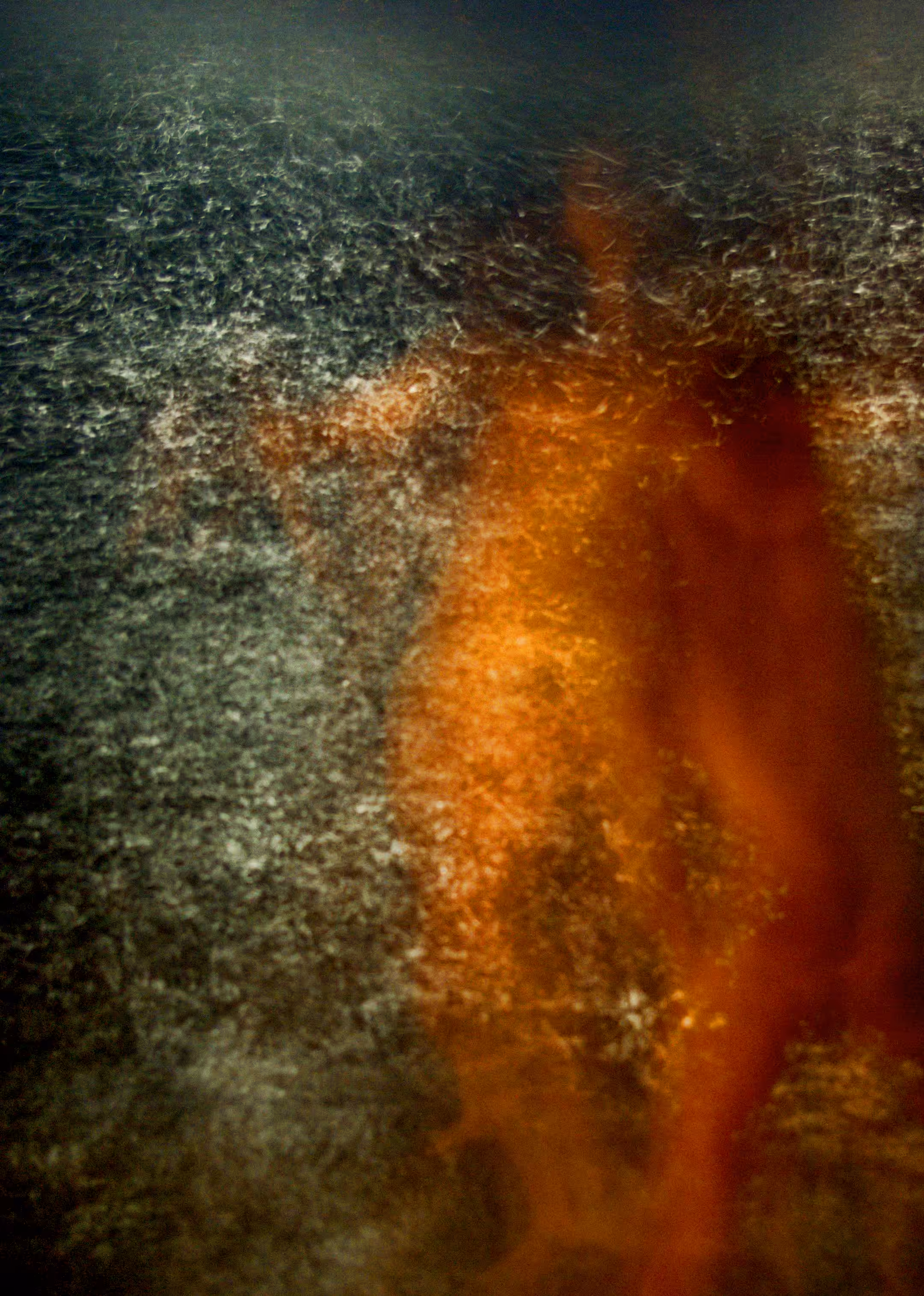 Triptych #1_[1/3]